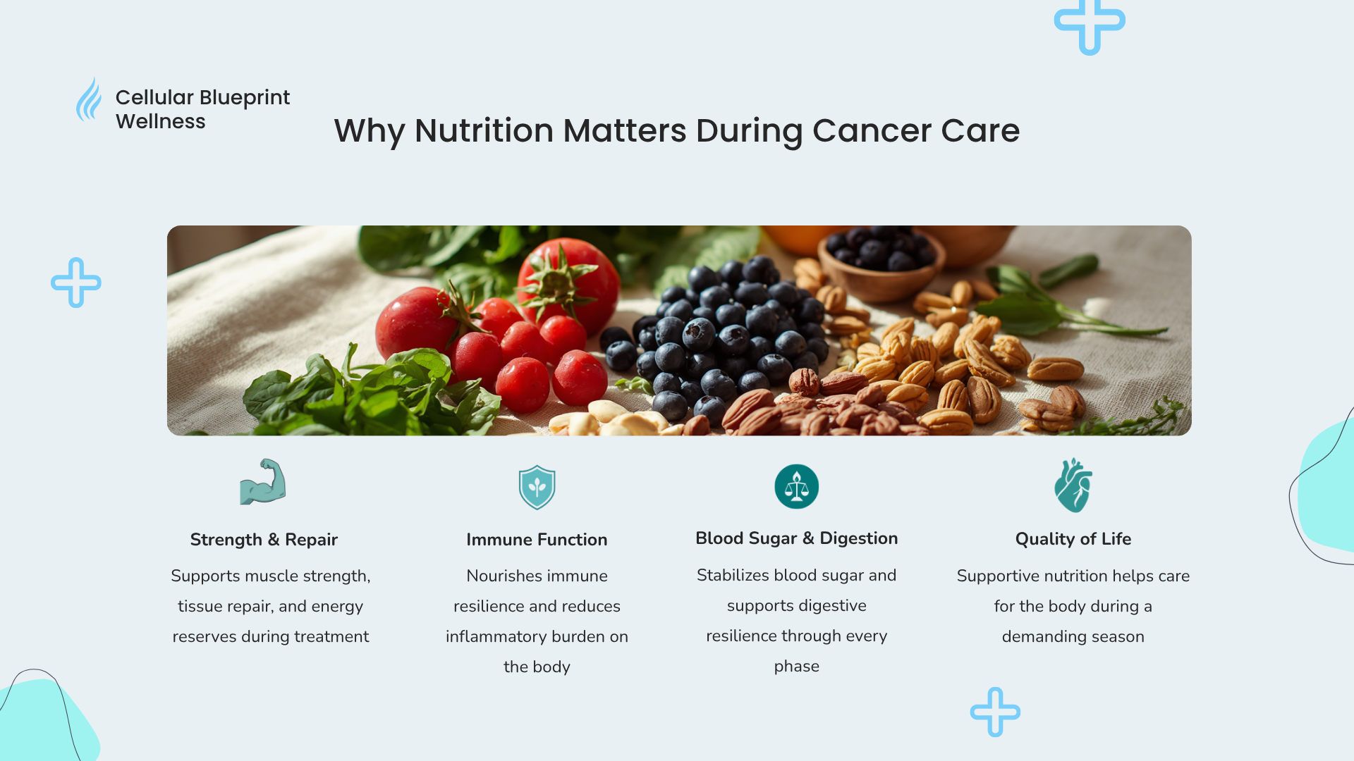 Why Nutrition Matters During Cancer Care - infographic showing strength, immune function, blood sugar and quality of life