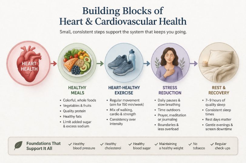 Heart & Cardiovascular Support