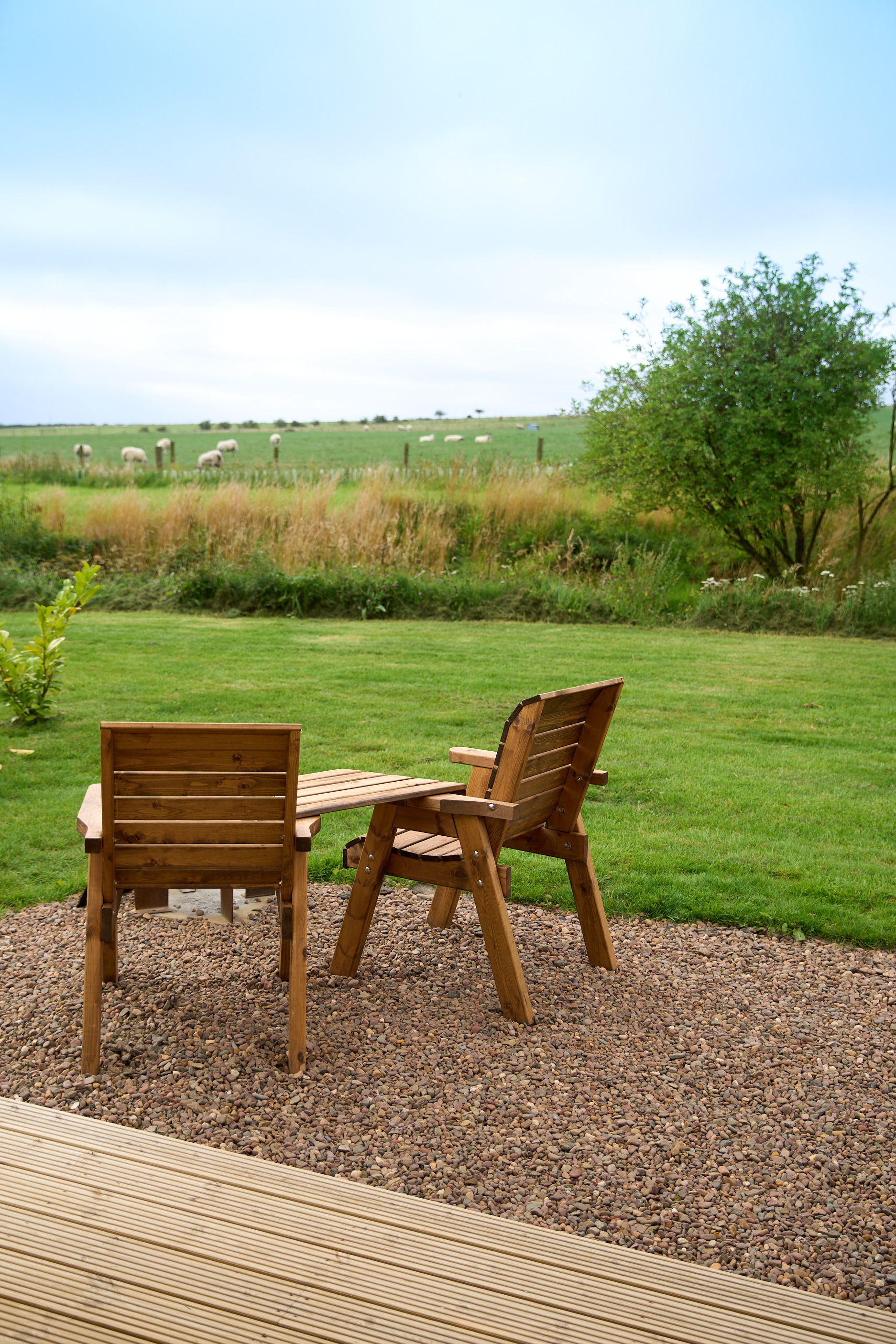 A peaceful morning view from a glamping pod window