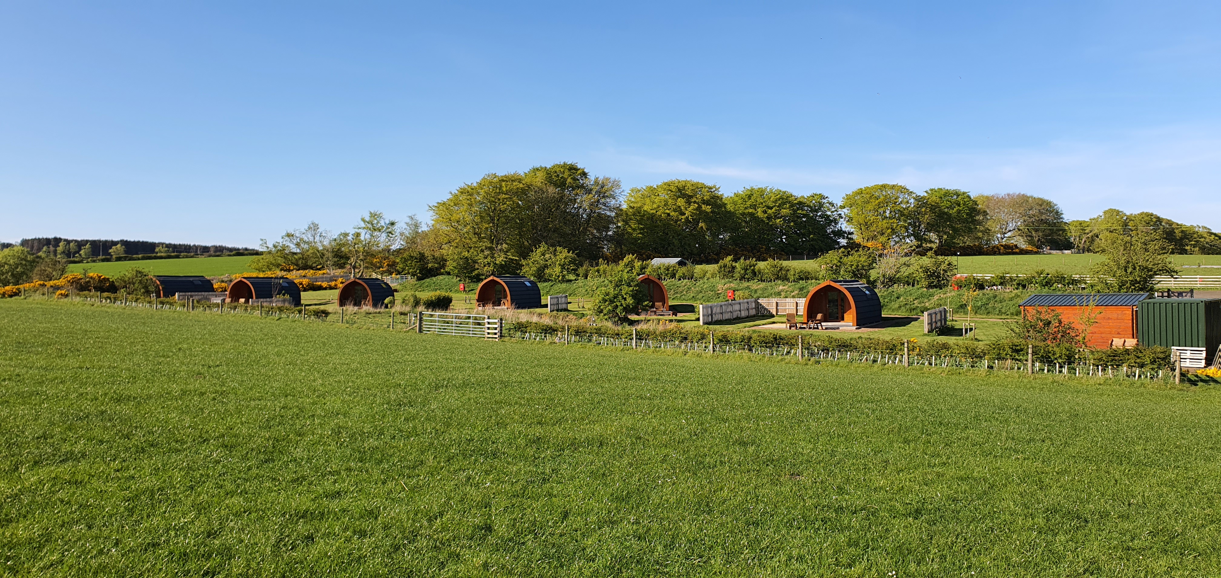 Wide scenic view of the six luxury glamping pods in a field at Braeview Escapes, Scottish Borders