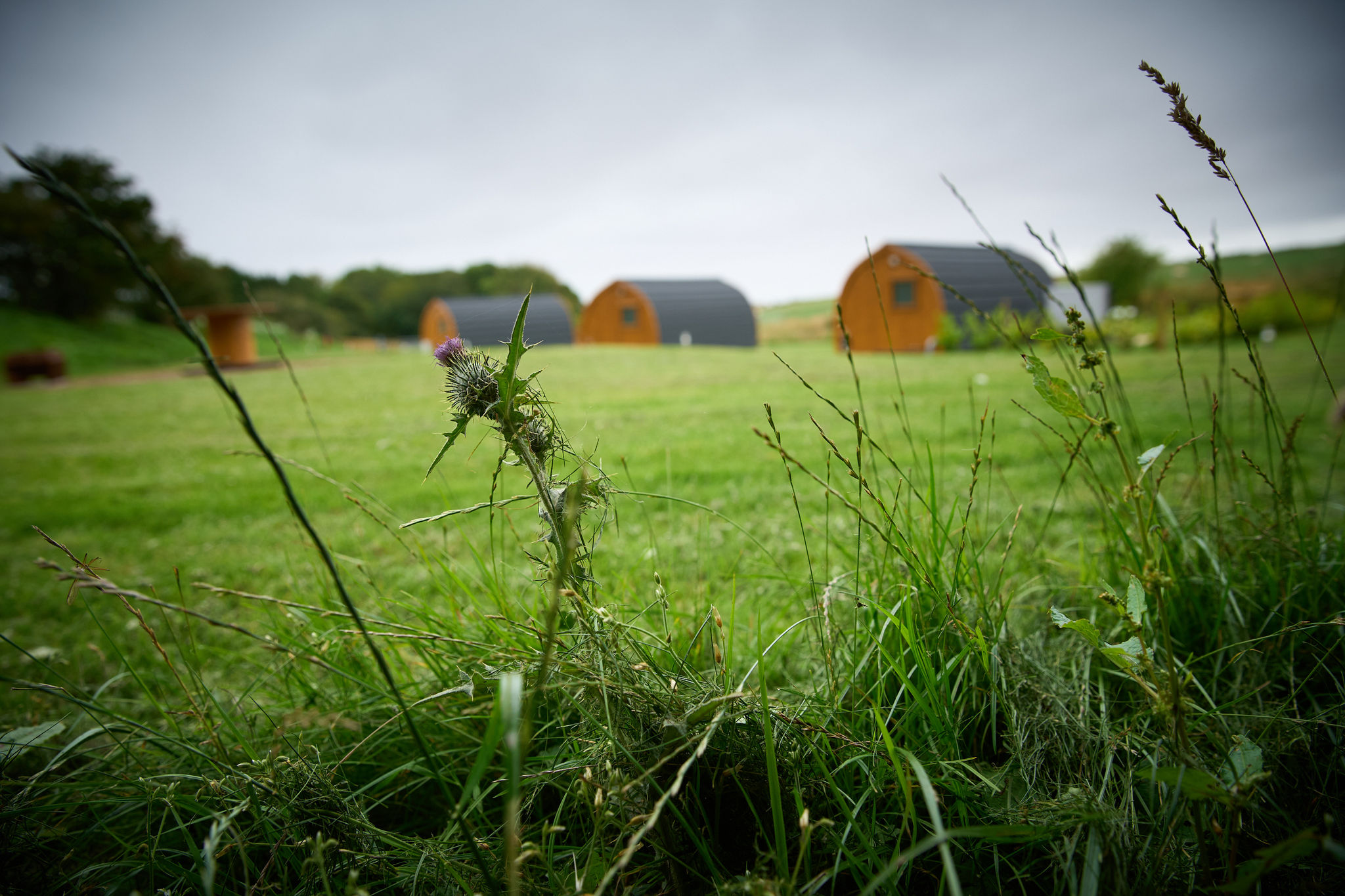 Sunset views over the fields at Braeview Escapes