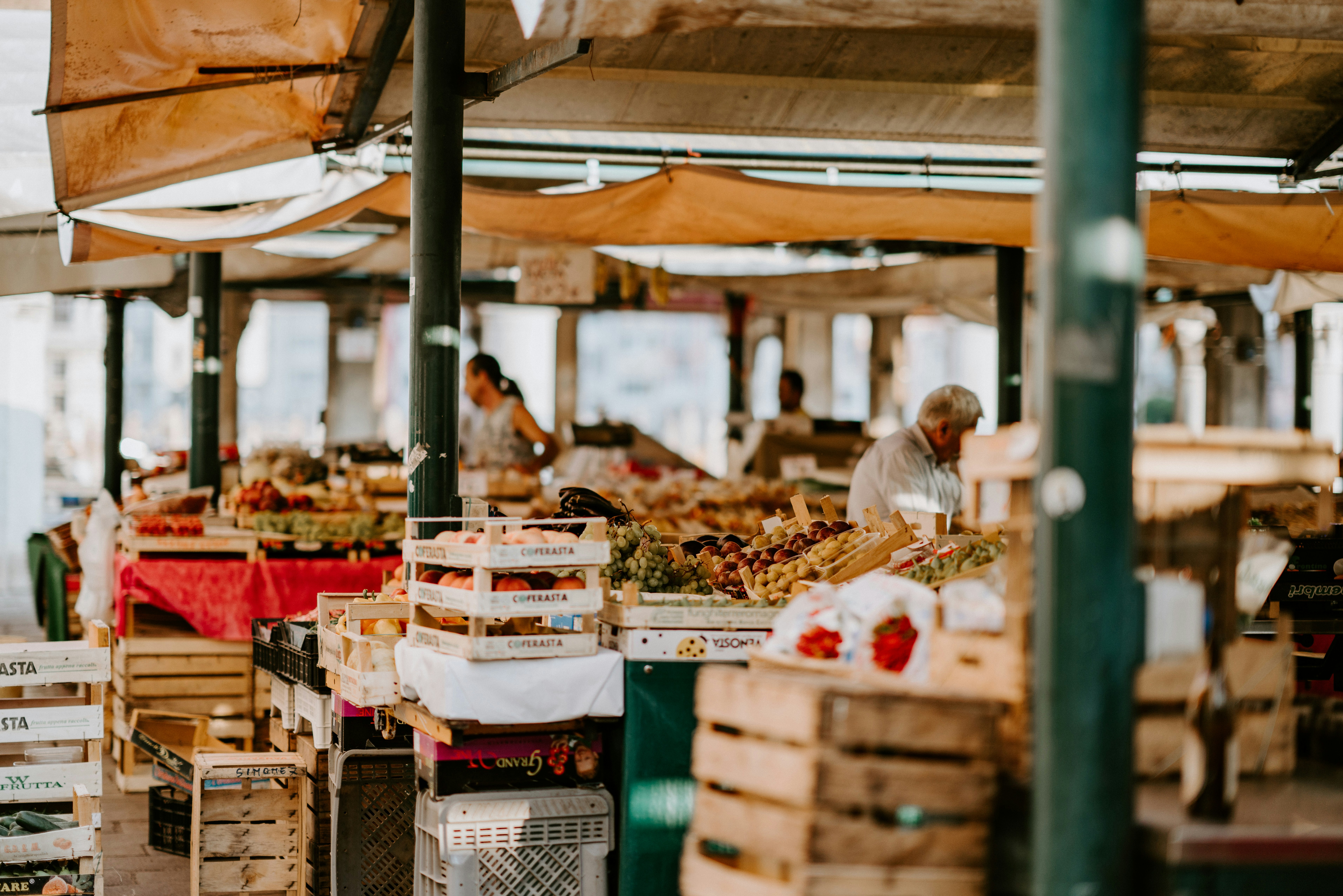 Manitoba Night Market