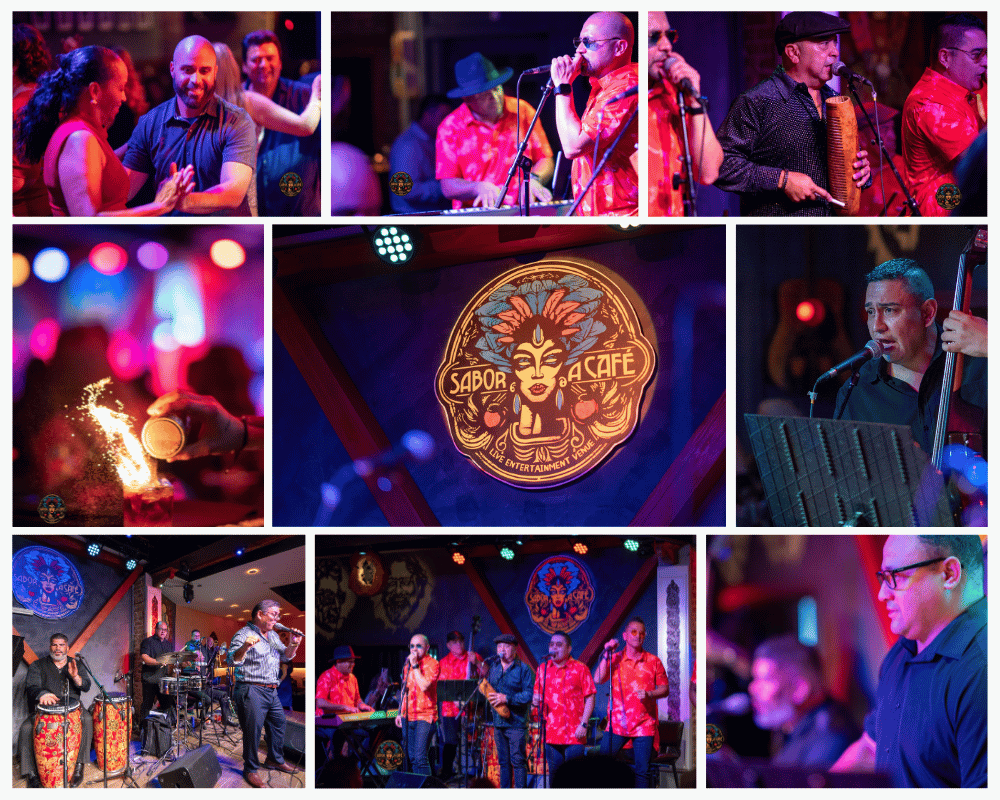 Live Music Night — Band Performance