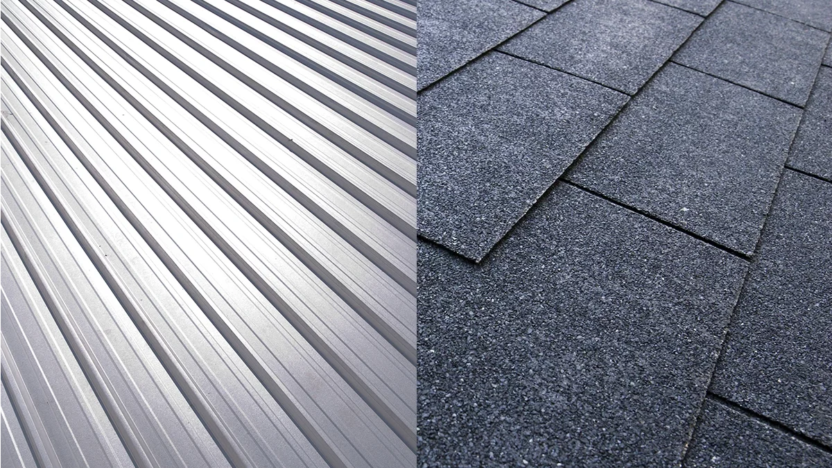Side-by-side comparison of architectural shingles and standing seam metal roofing