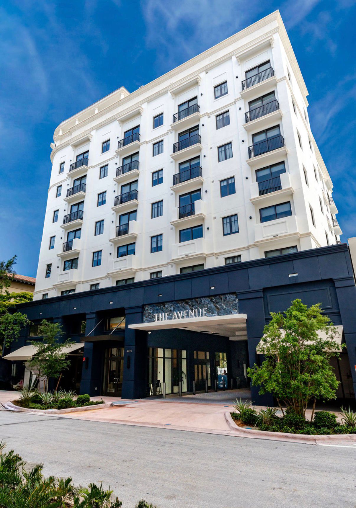 The Avenue 8