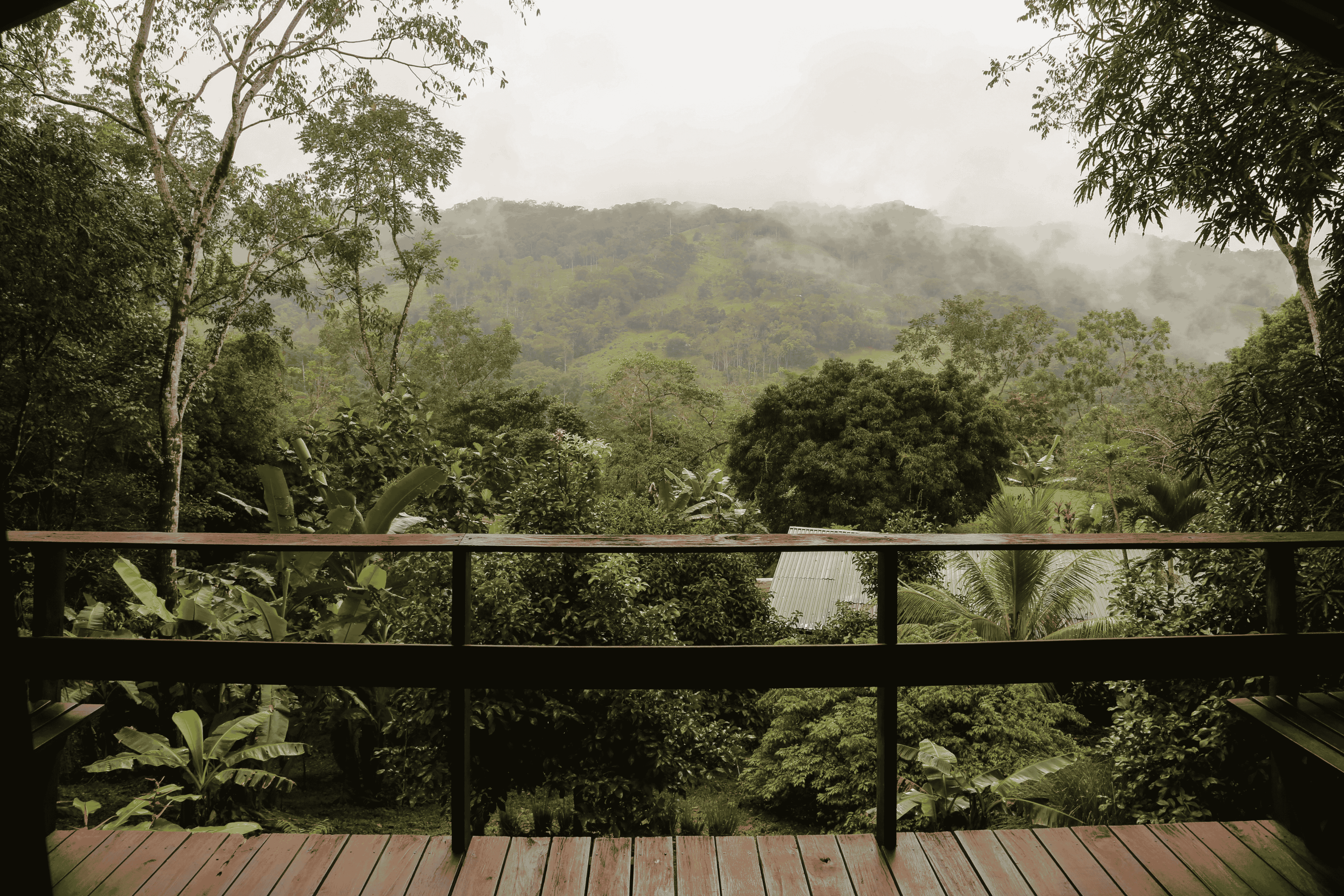 The Ridge View