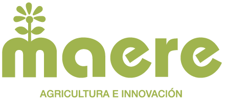 Maere