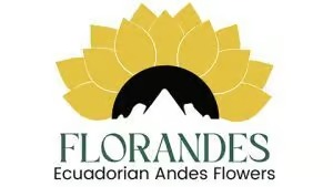 Cliente de Grafico Webs 17 - Agencia de Marketing Digital en Ecuador