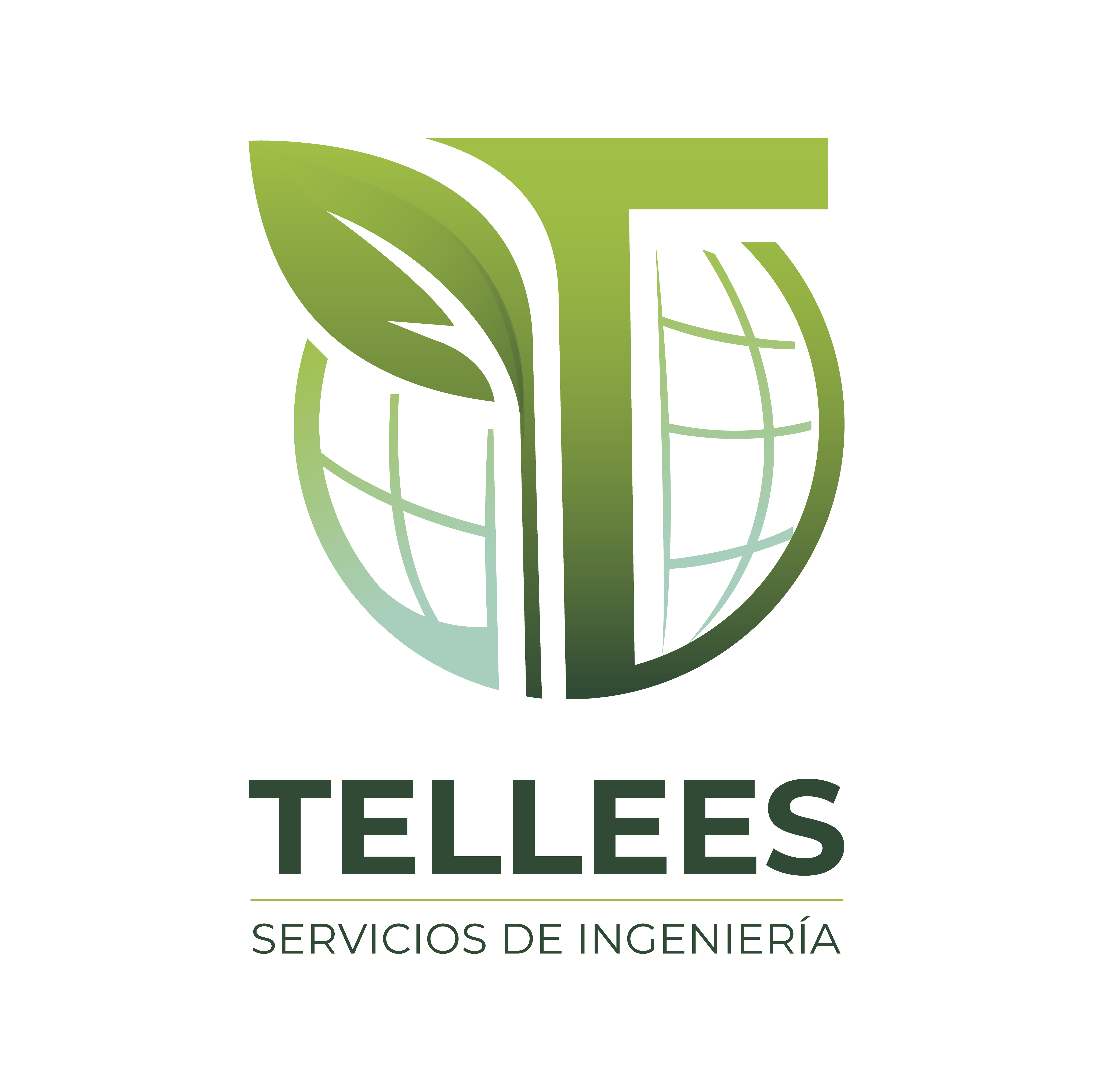 Diseño de logotipo realizado por Grafico Webs 13