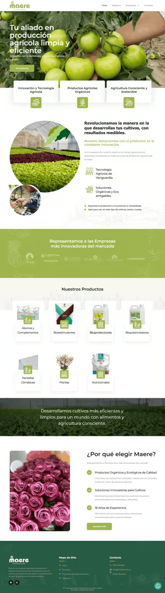 Ejemplo de diseño web: Maere - Grafico Webs