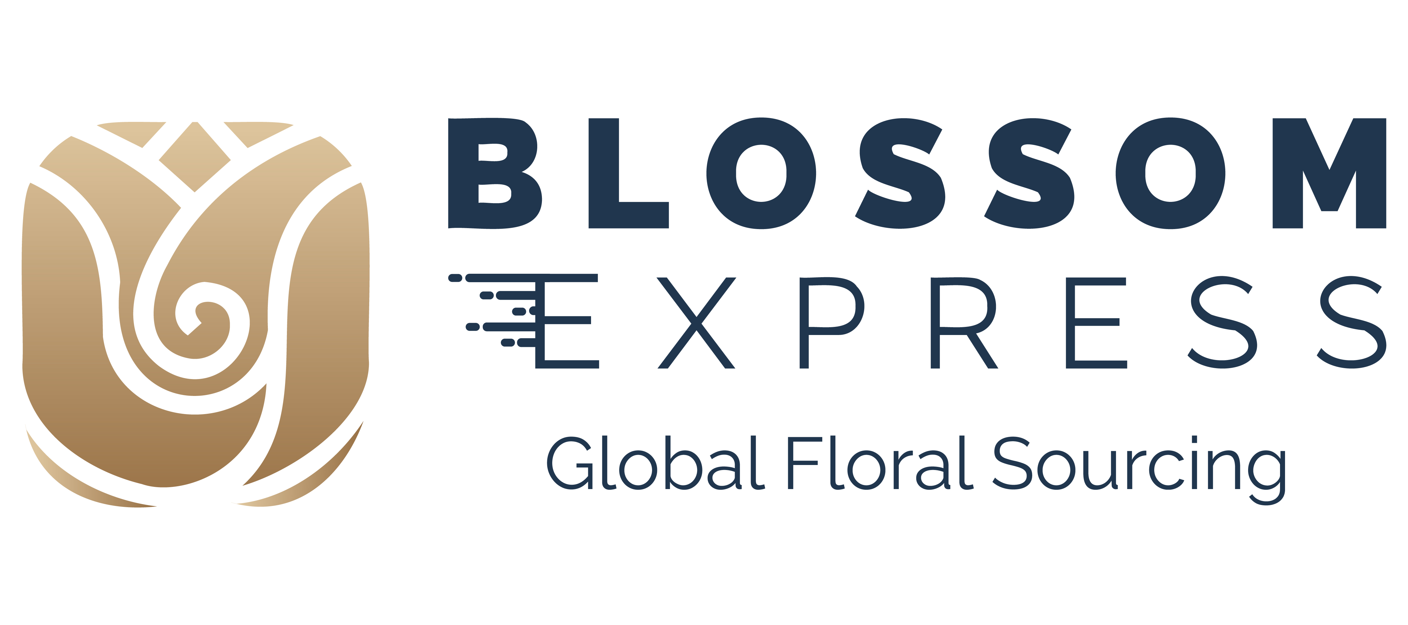 Diseño de logotipo realizado por Grafico Webs 19