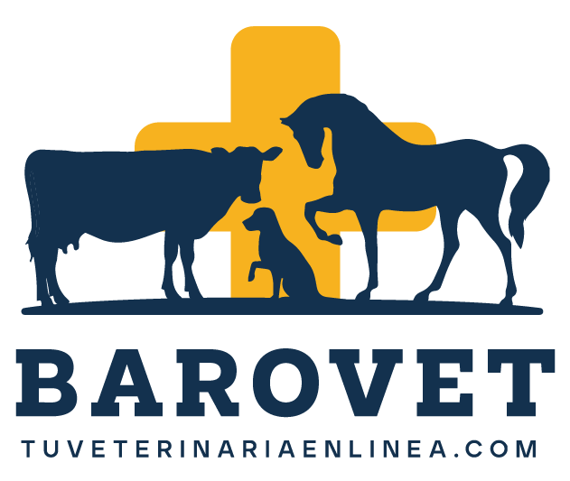 Diseño de logotipo realizado por Grafico Webs 22