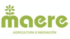 Cliente de Grafico Webs 10 - Agencia de Marketing Digital en Ecuador