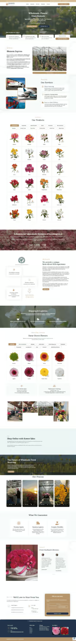 Ejemplo de diseño web: The Blossom Express - Grafico Webs