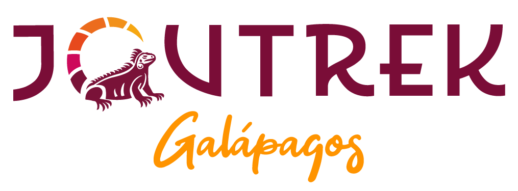 Diseño de logotipo realizado por Grafico Webs 23