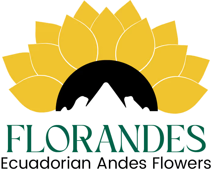Diseño de logotipo realizado por Grafico Webs 3