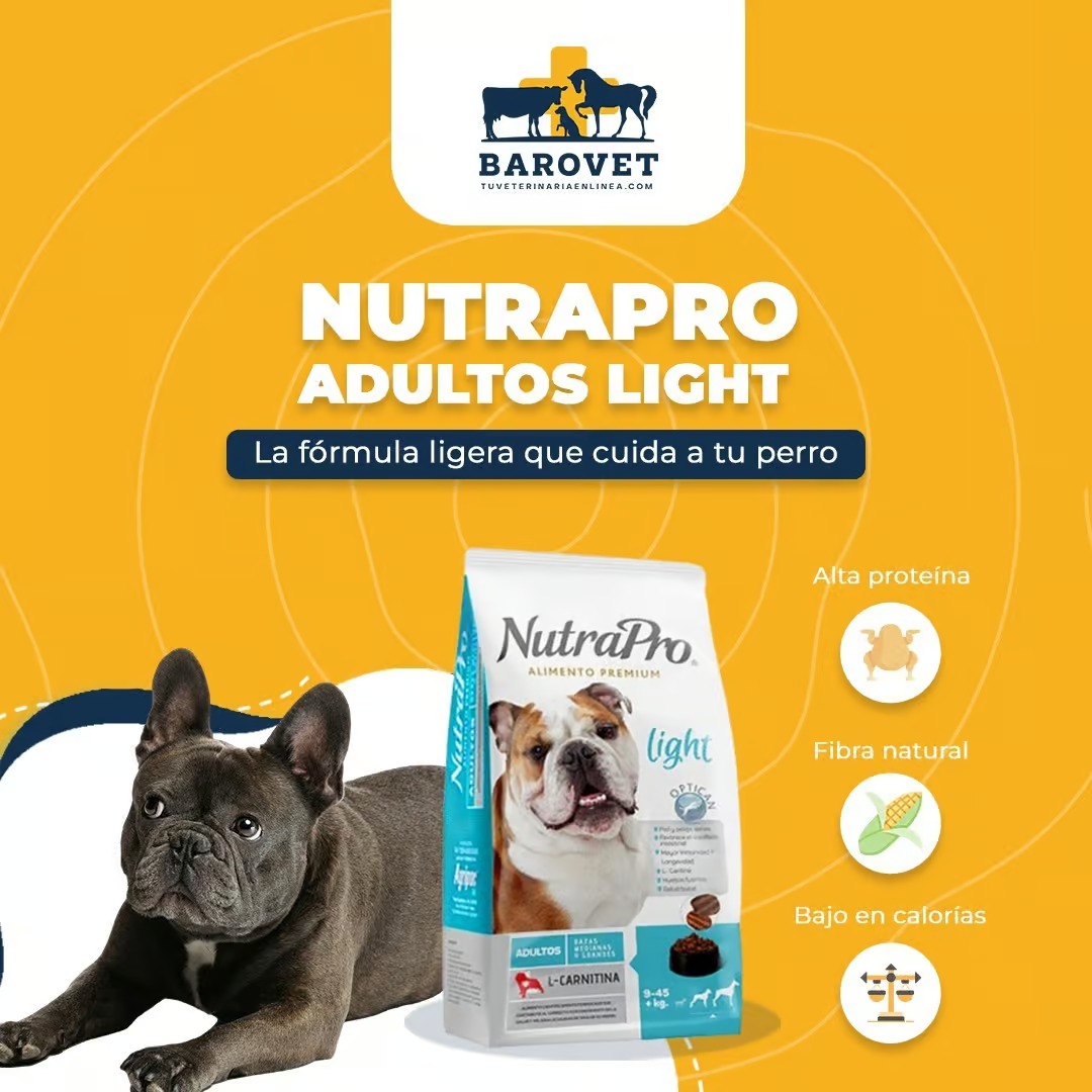 Gestión de redes sociales por Grafico Webs 26 - Agencia de Marketing Digital en Ecuador