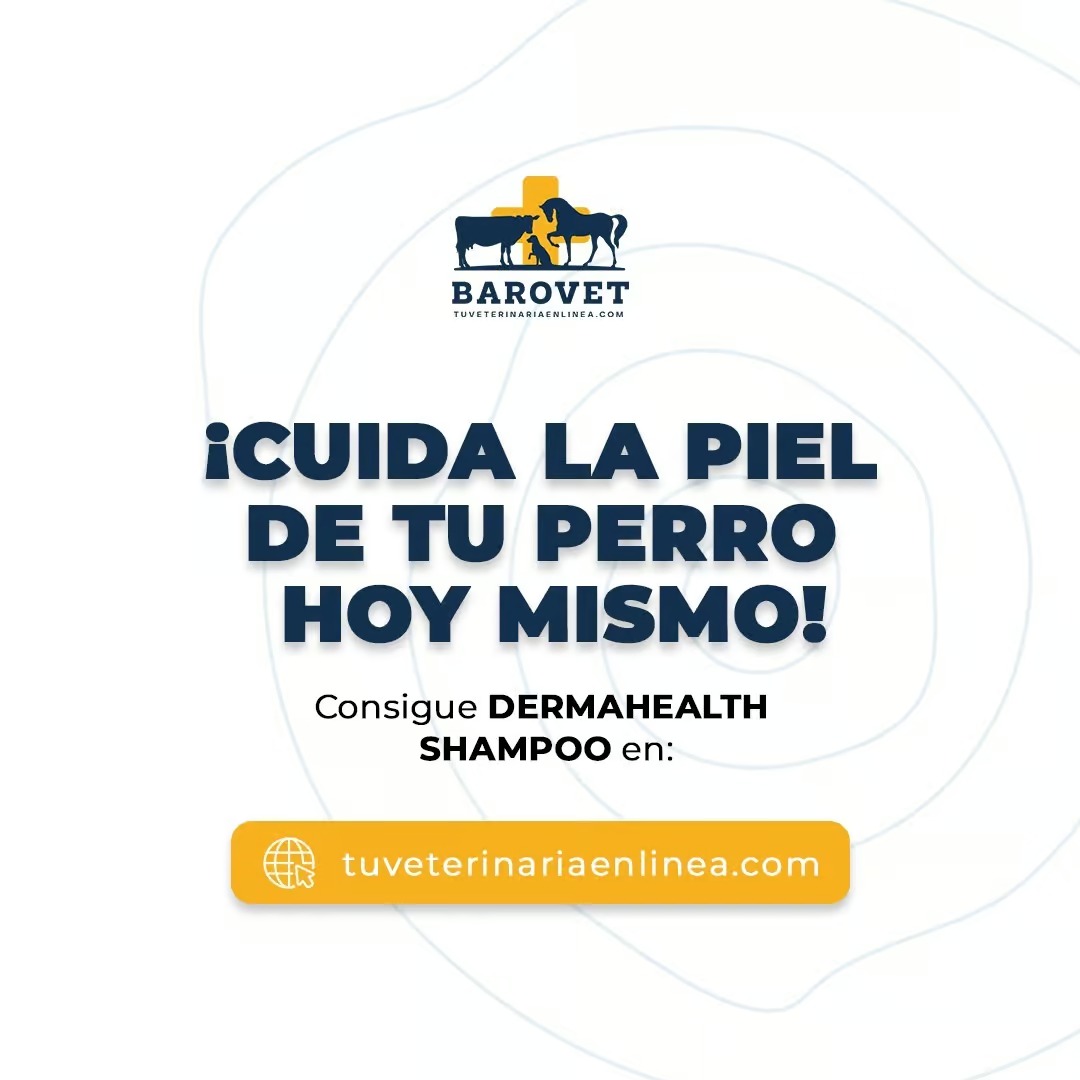 Gestión de redes sociales por Grafico Webs 28 - Agencia de Marketing Digital en Ecuador