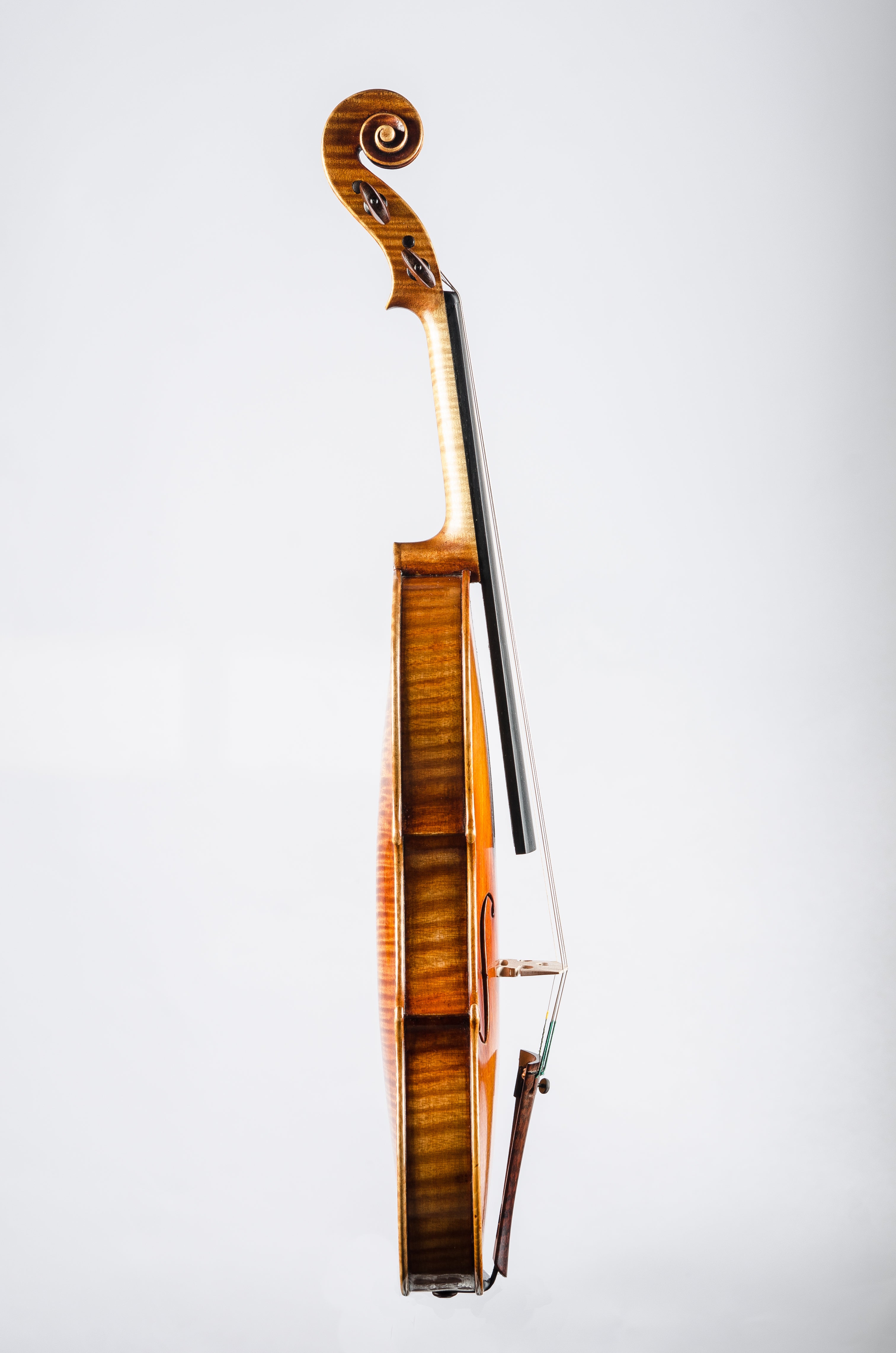 Detail 8 of Opus 188