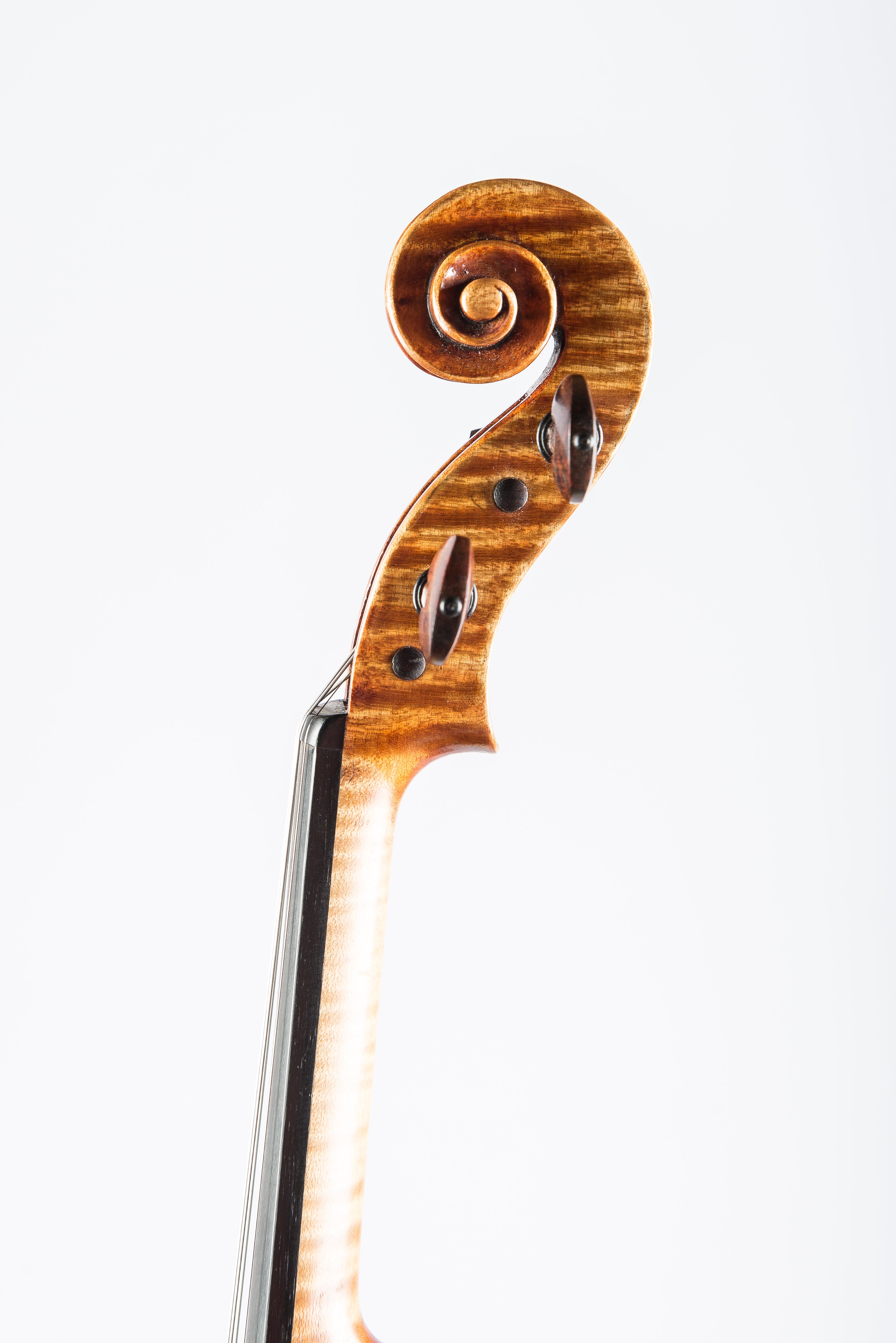 Detail 5 of Opus 193