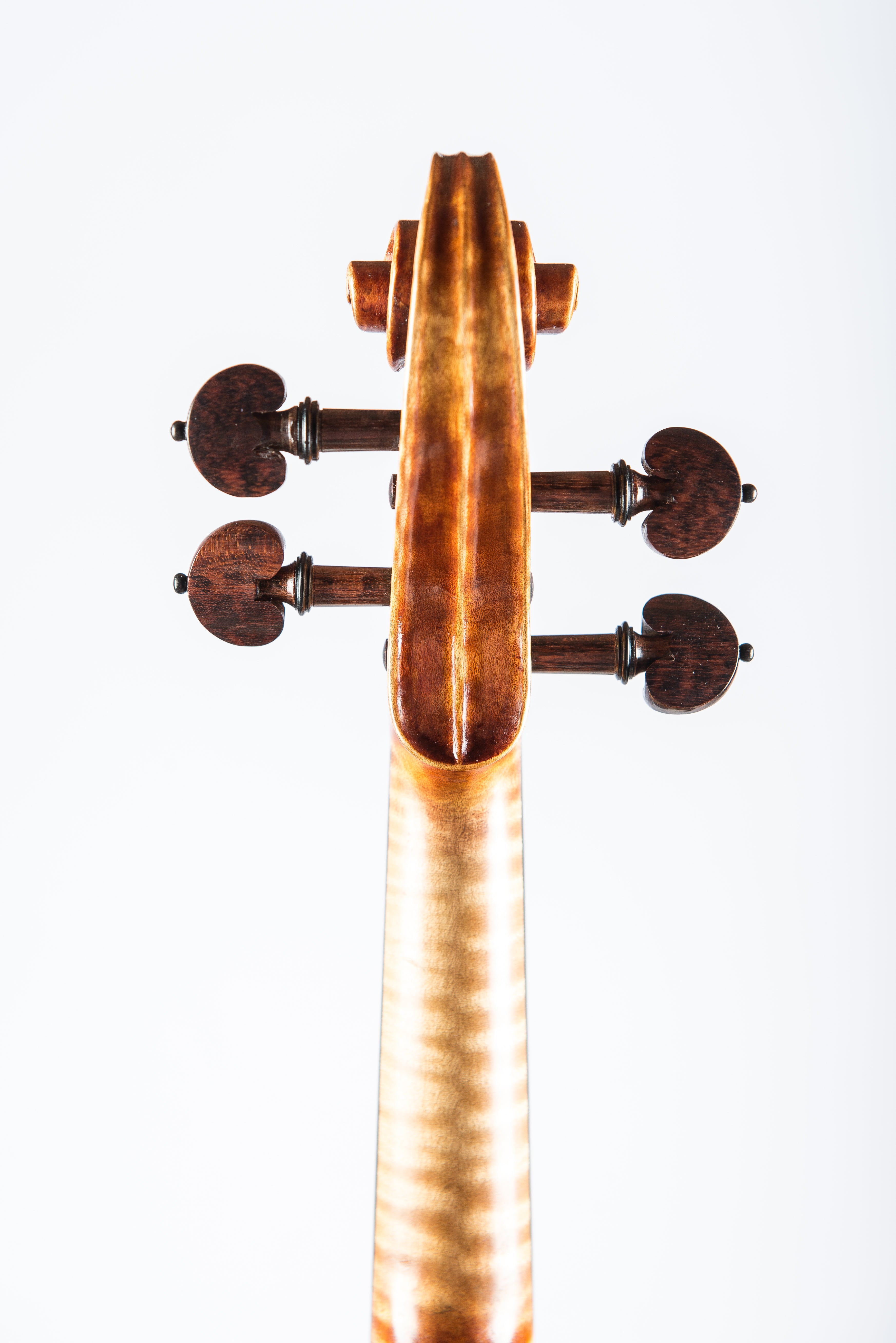 Detail 3 of Opus 193