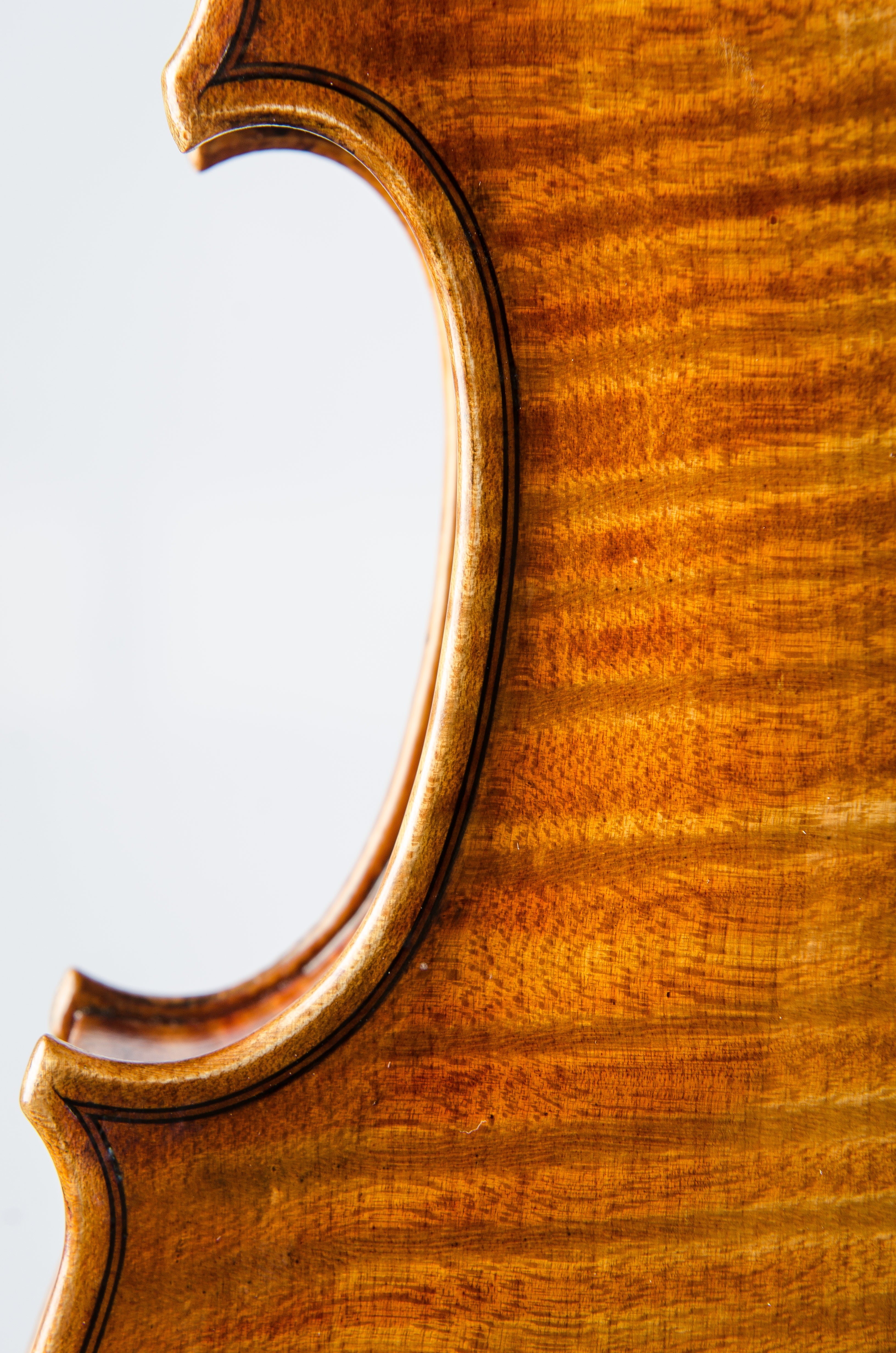 Detail 8 of Opus 191