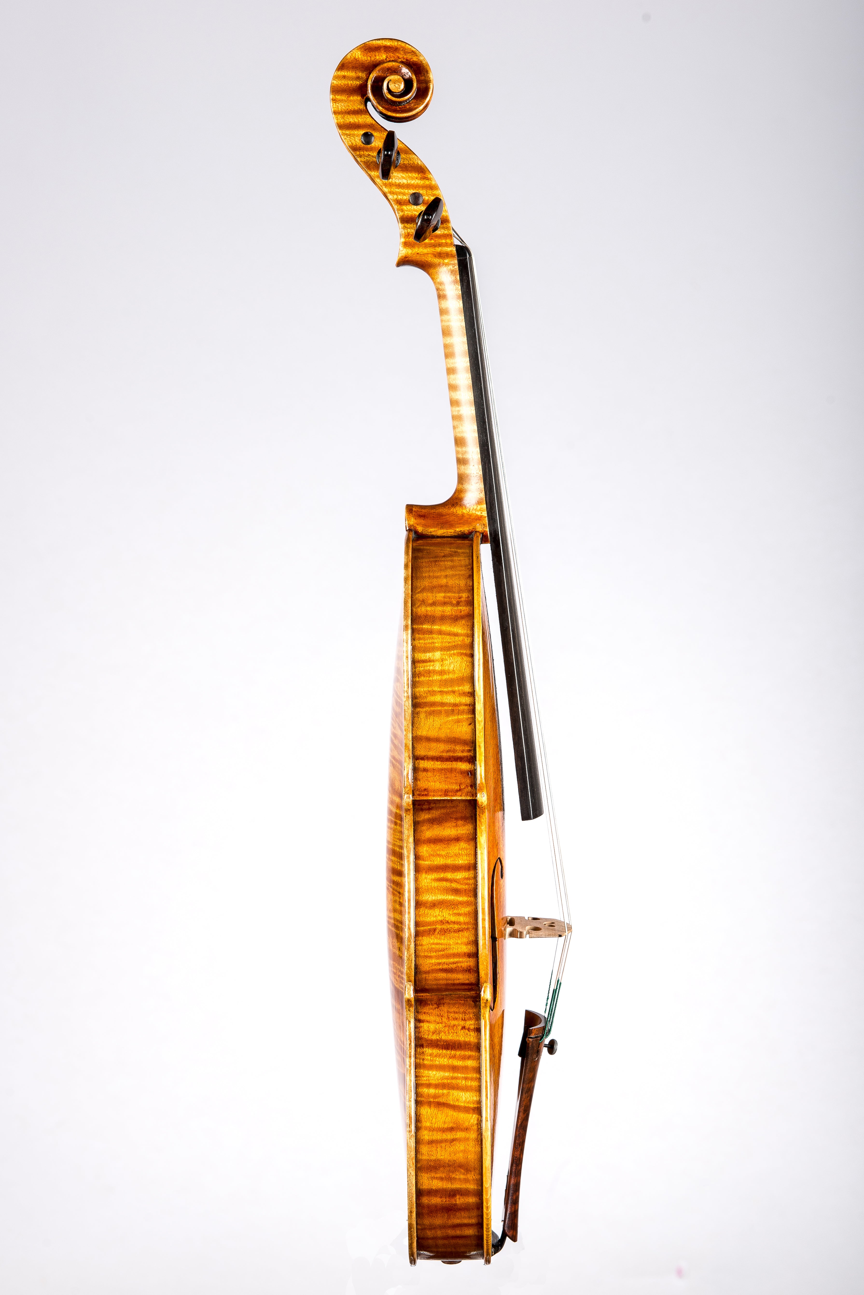 Detail 6 of Opus 193