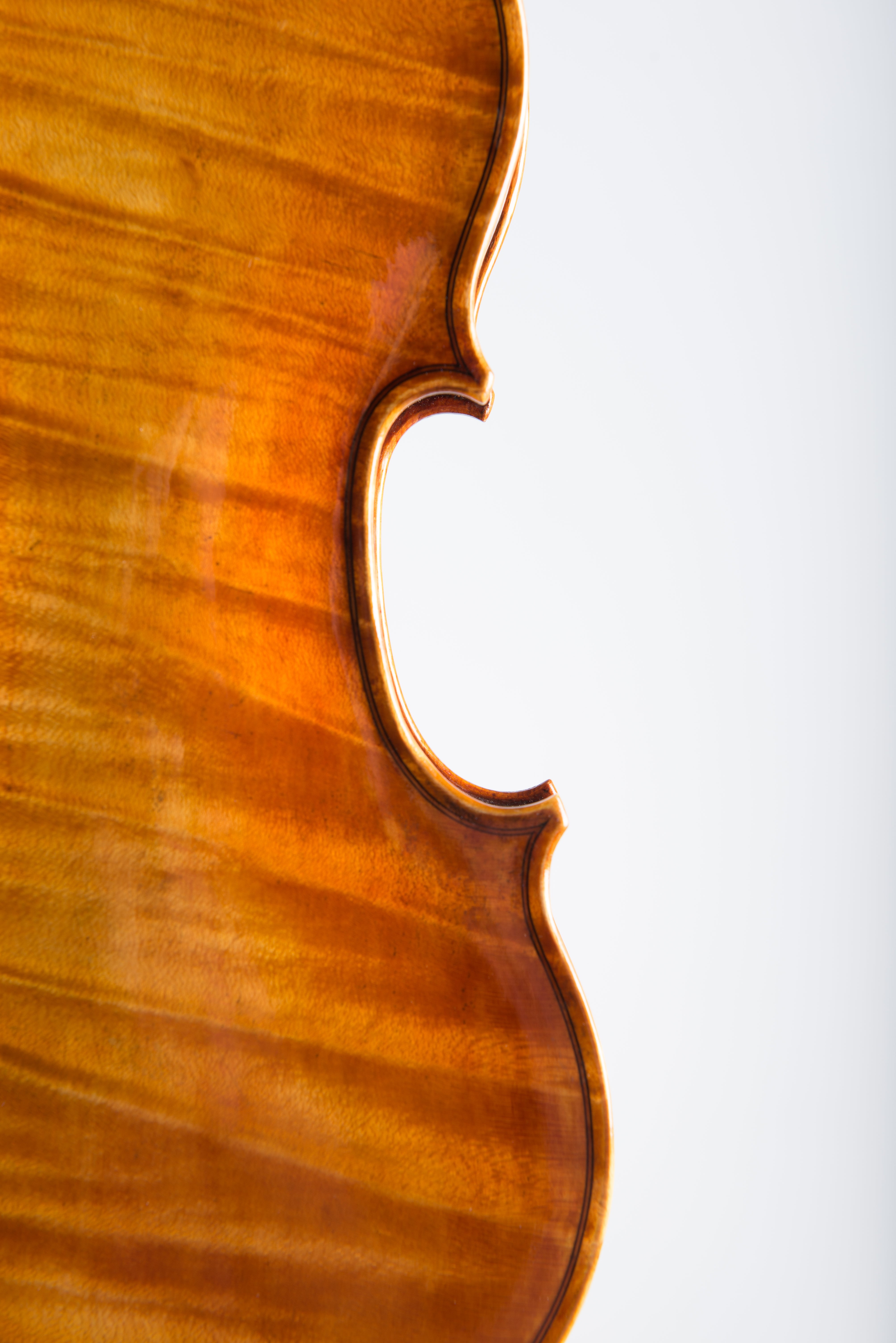 Detail 6 of Opus 194