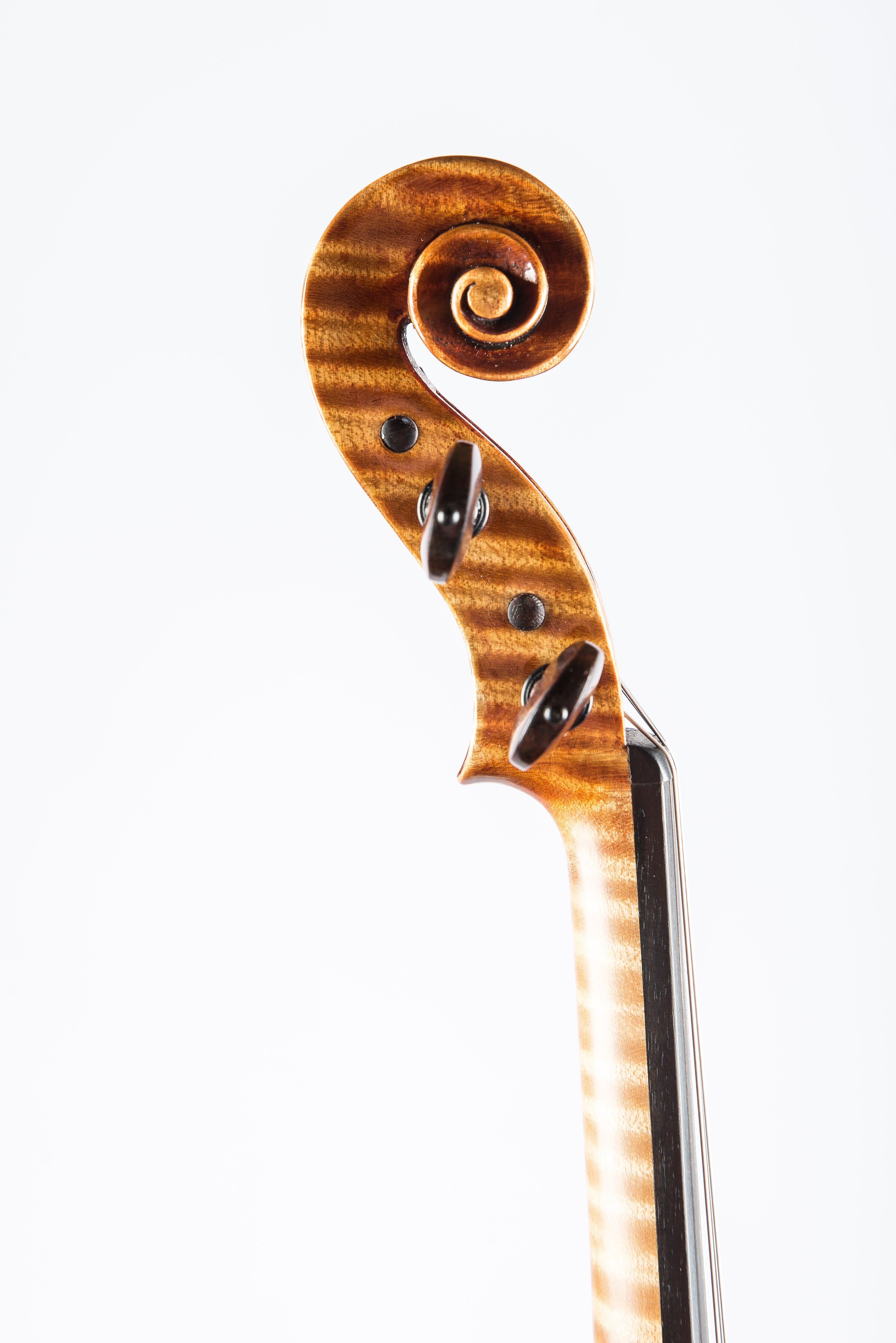 Detail 4 of Opus 193