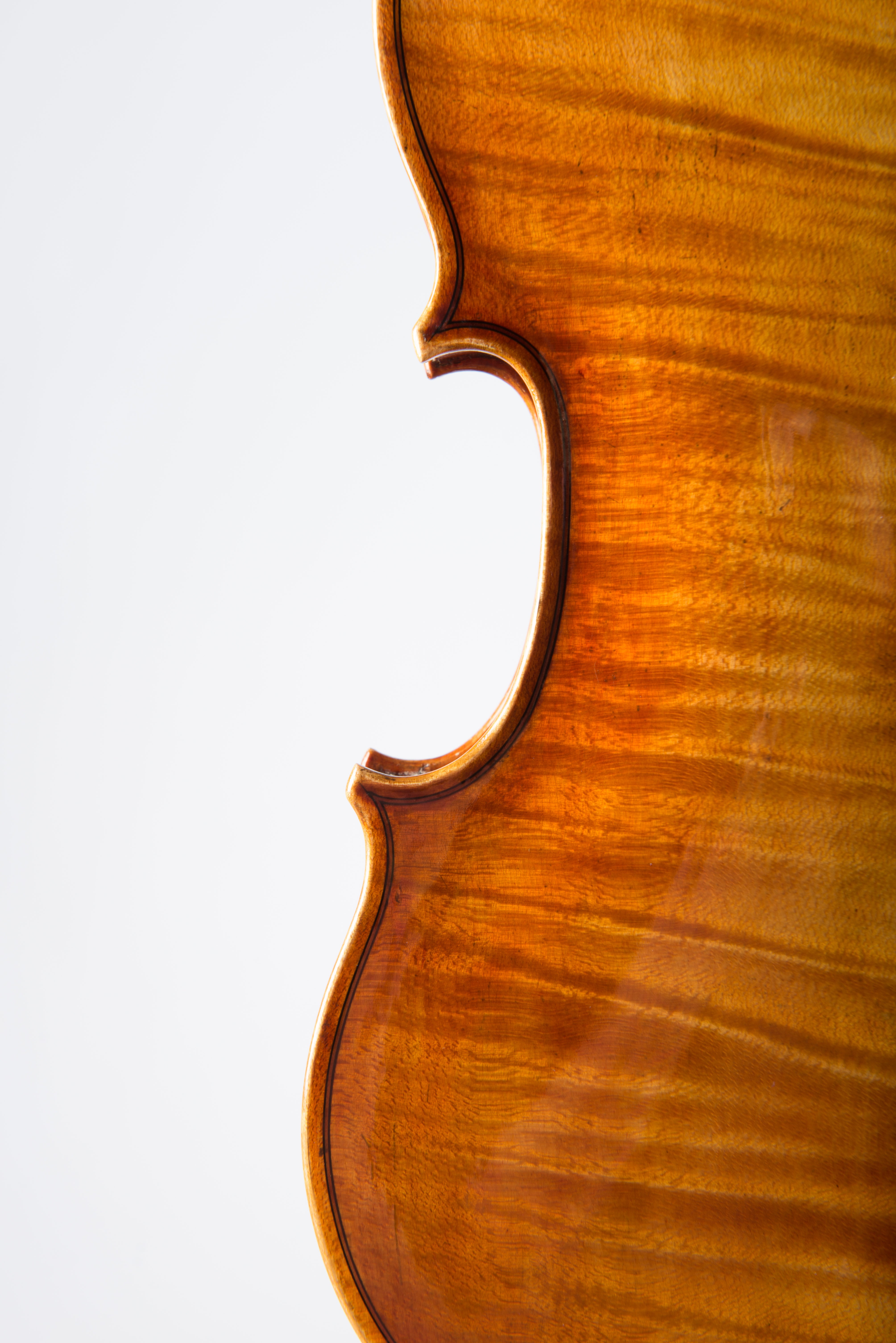 Detail 7 of Opus 194