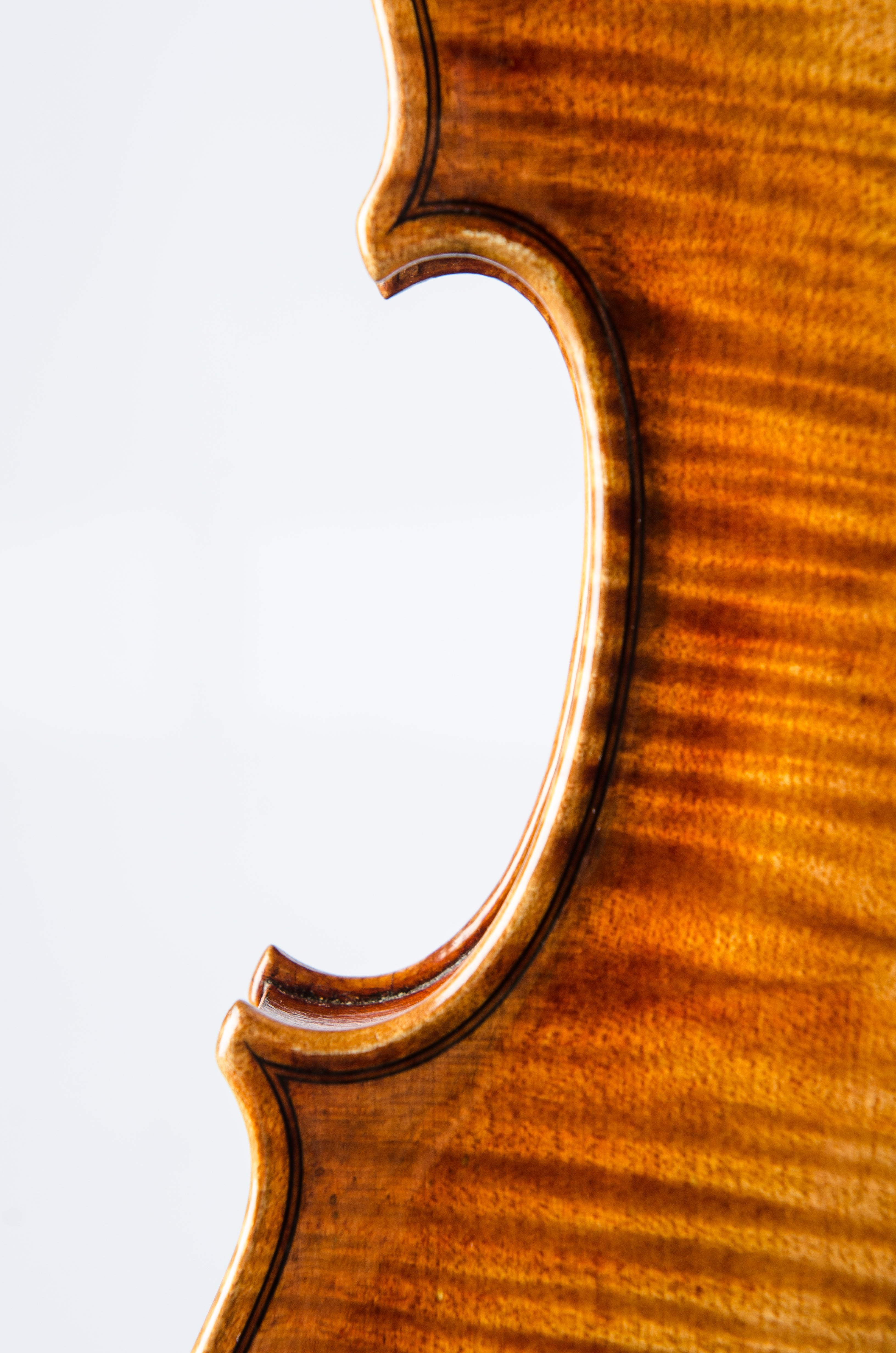 Detail 7 of Opus 188