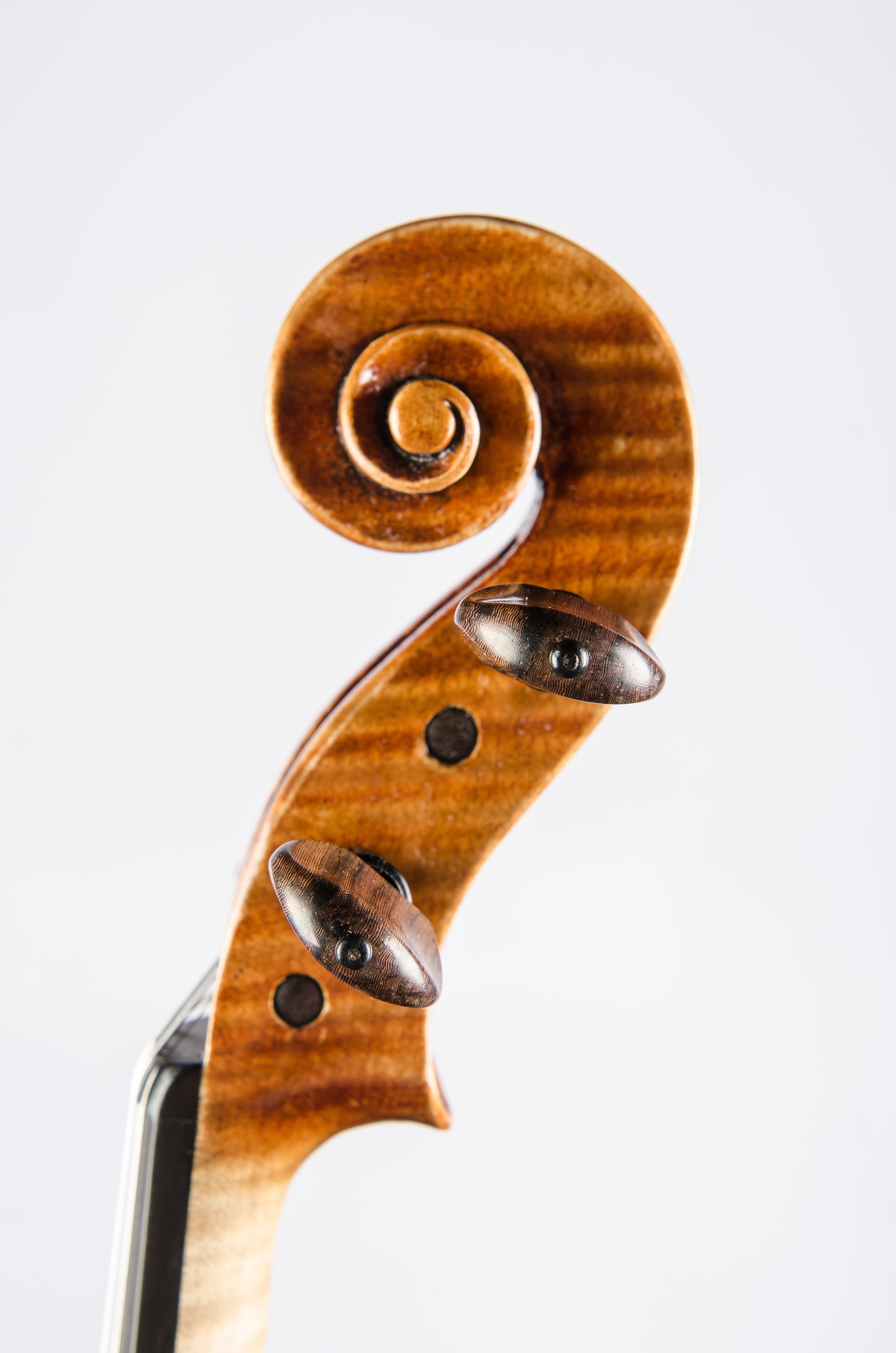 Detail 11 of Opus 191