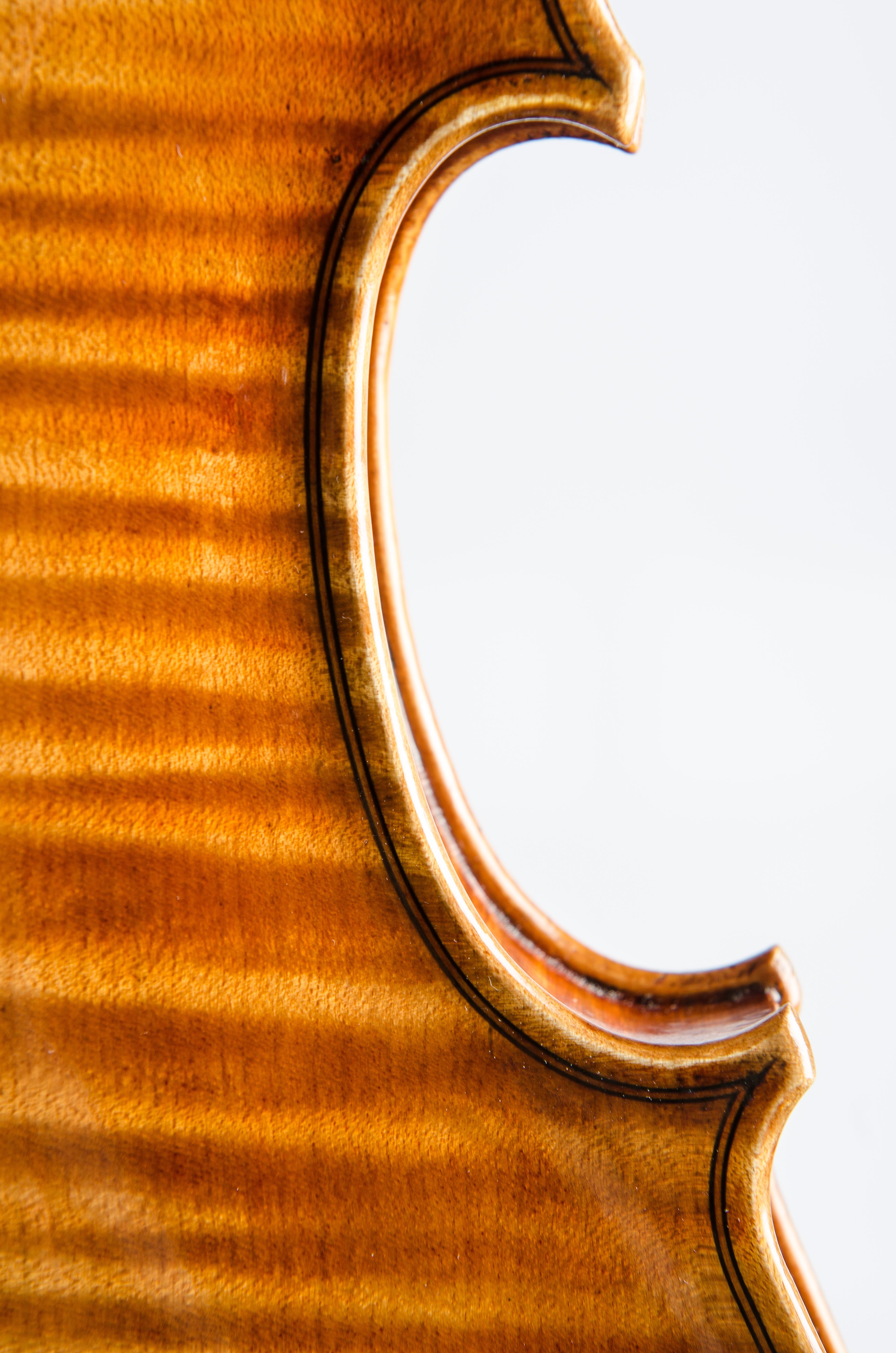 Detail 7 of Opus 191