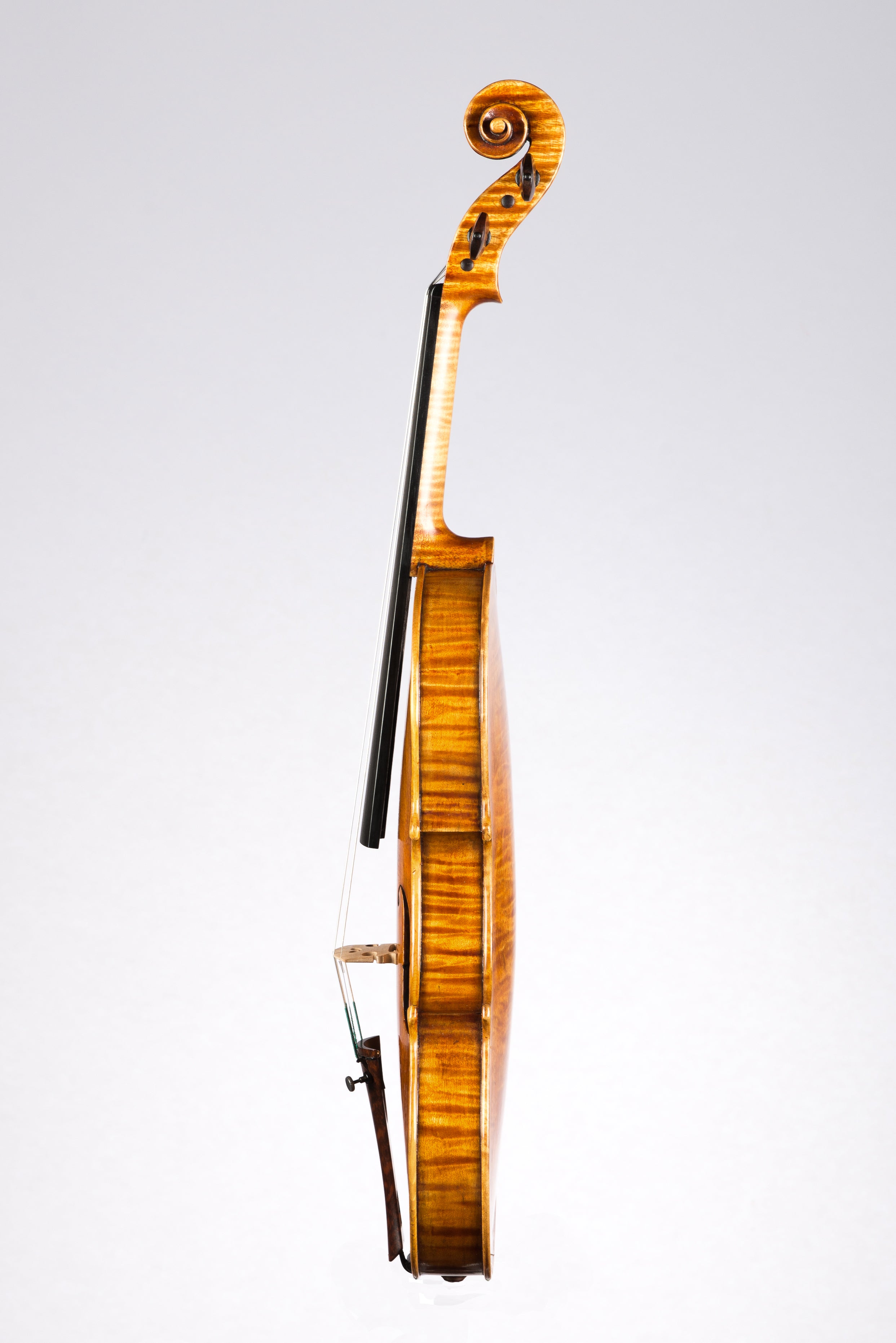 Detail 10 of Opus 193