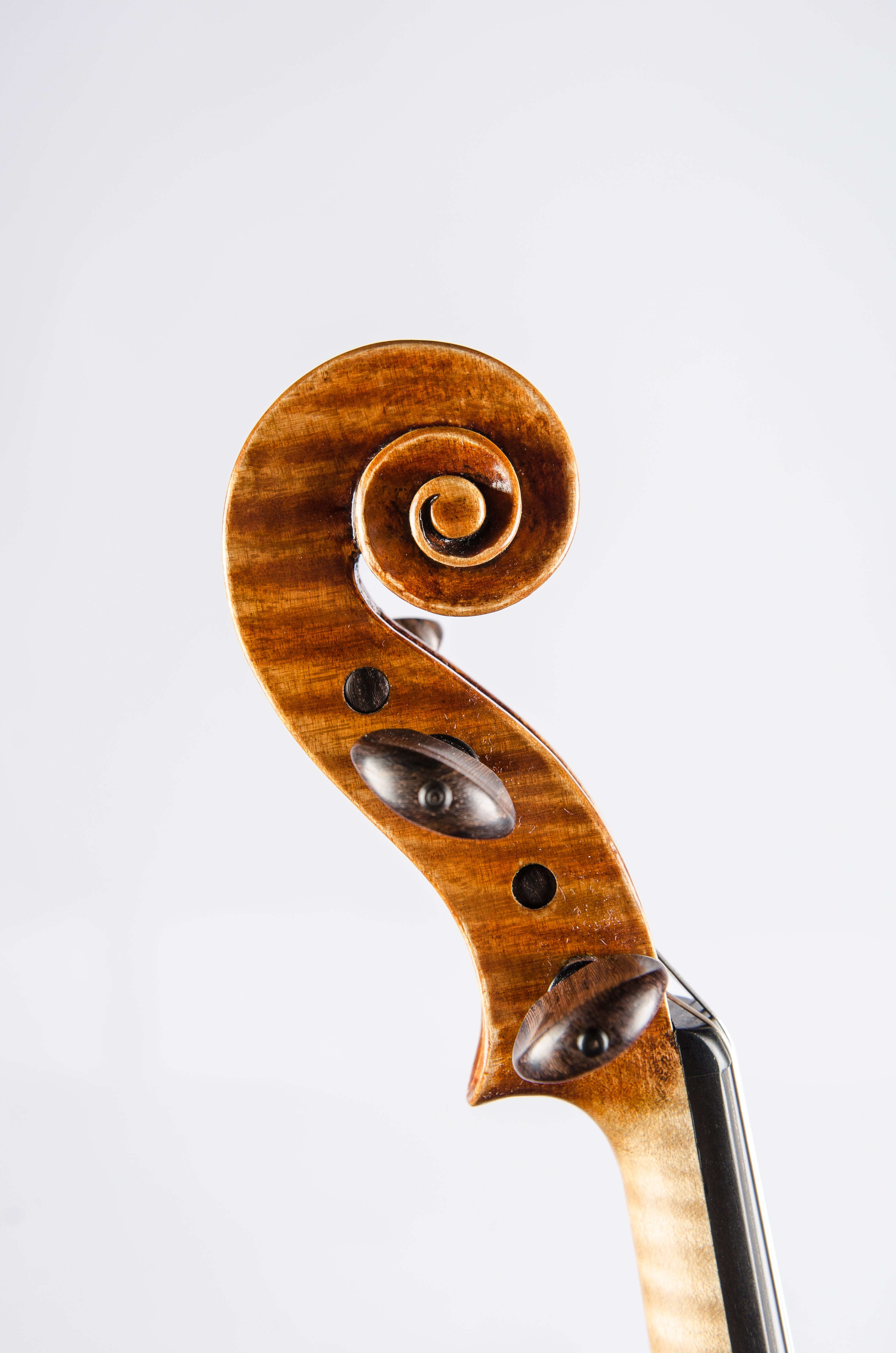 Detail 12 of Opus 191