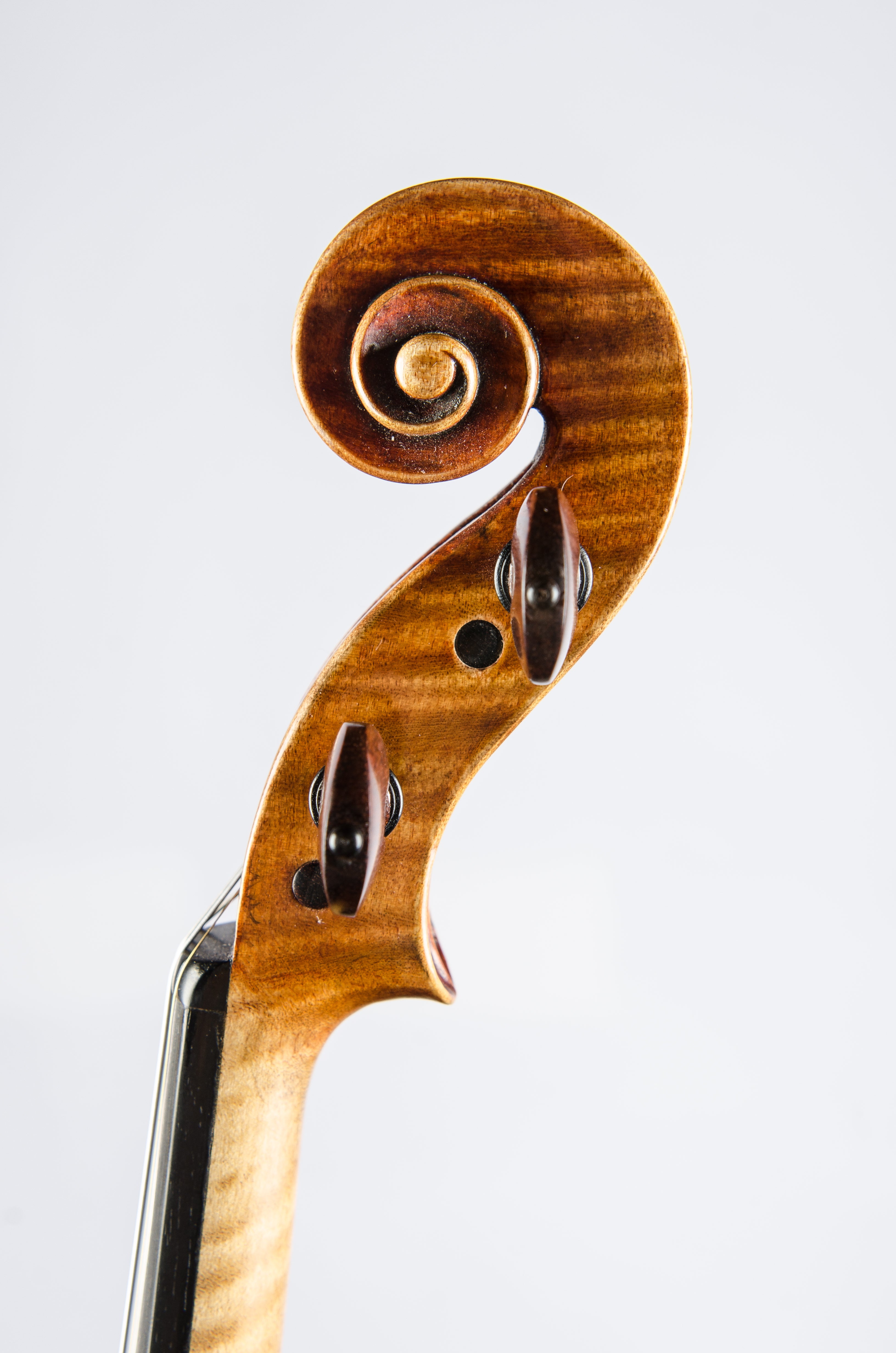 Detail 12 of Opus 188