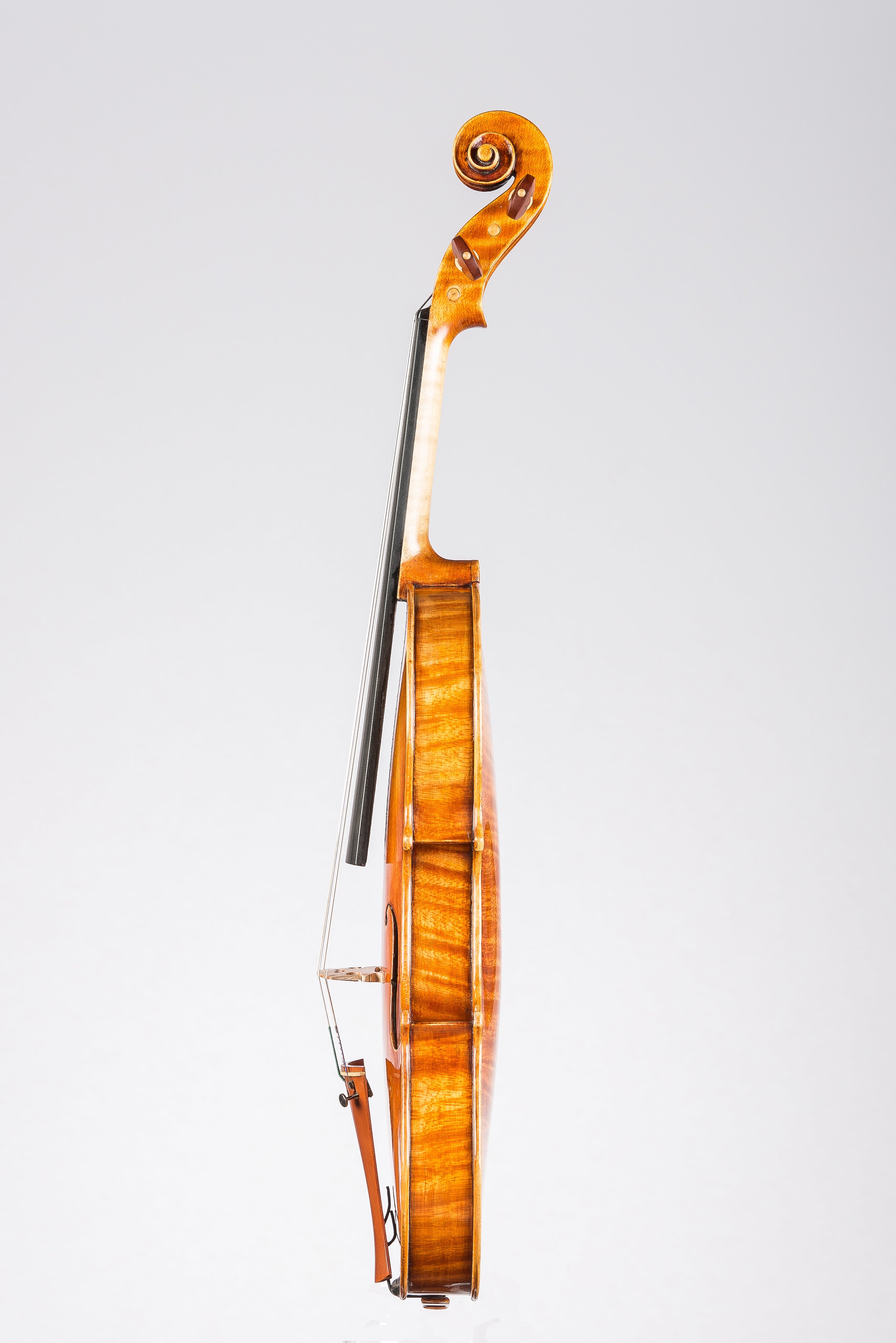 Detail 11 of Opus 194
