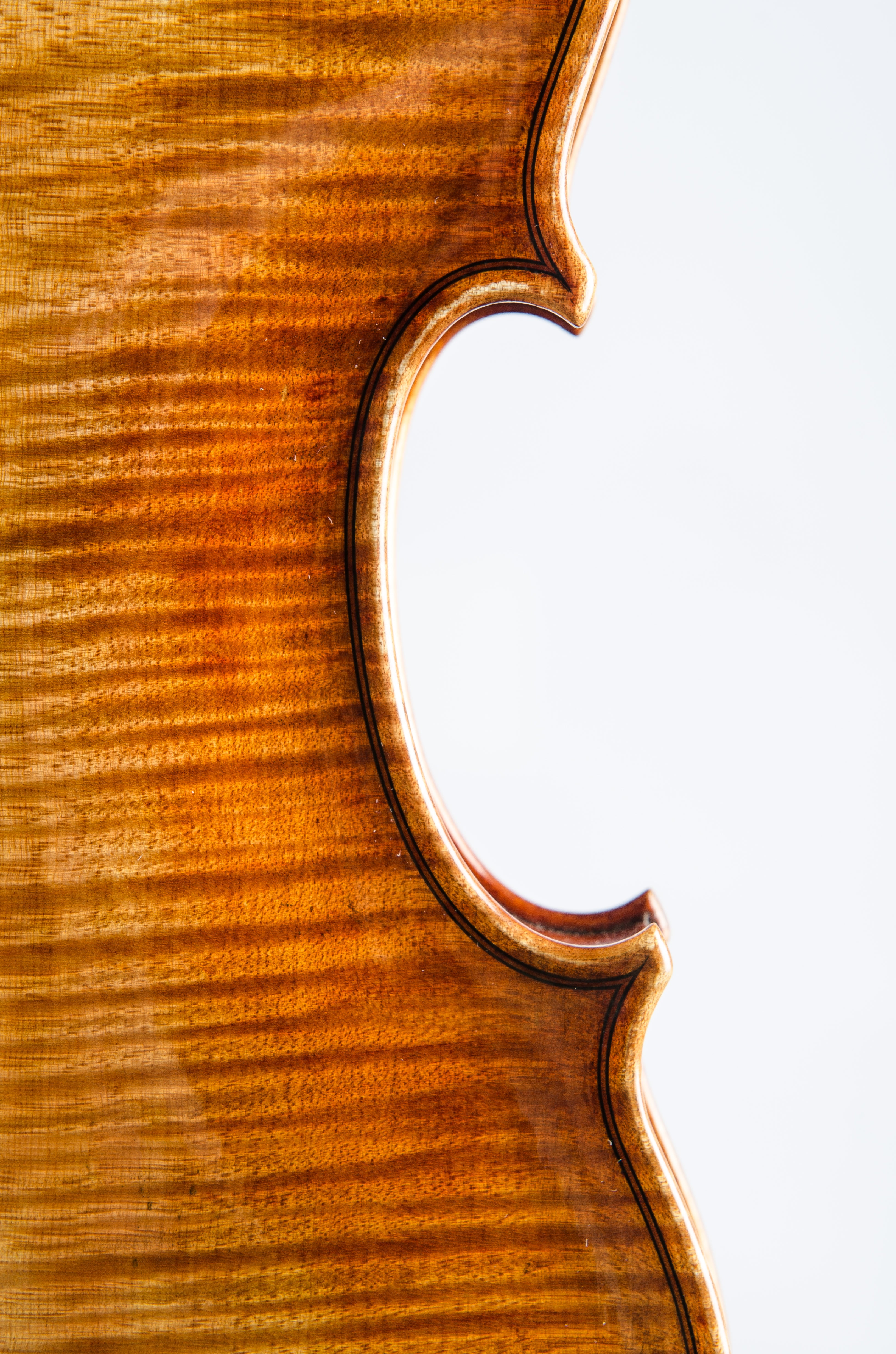 Detail 6 of Opus 188
