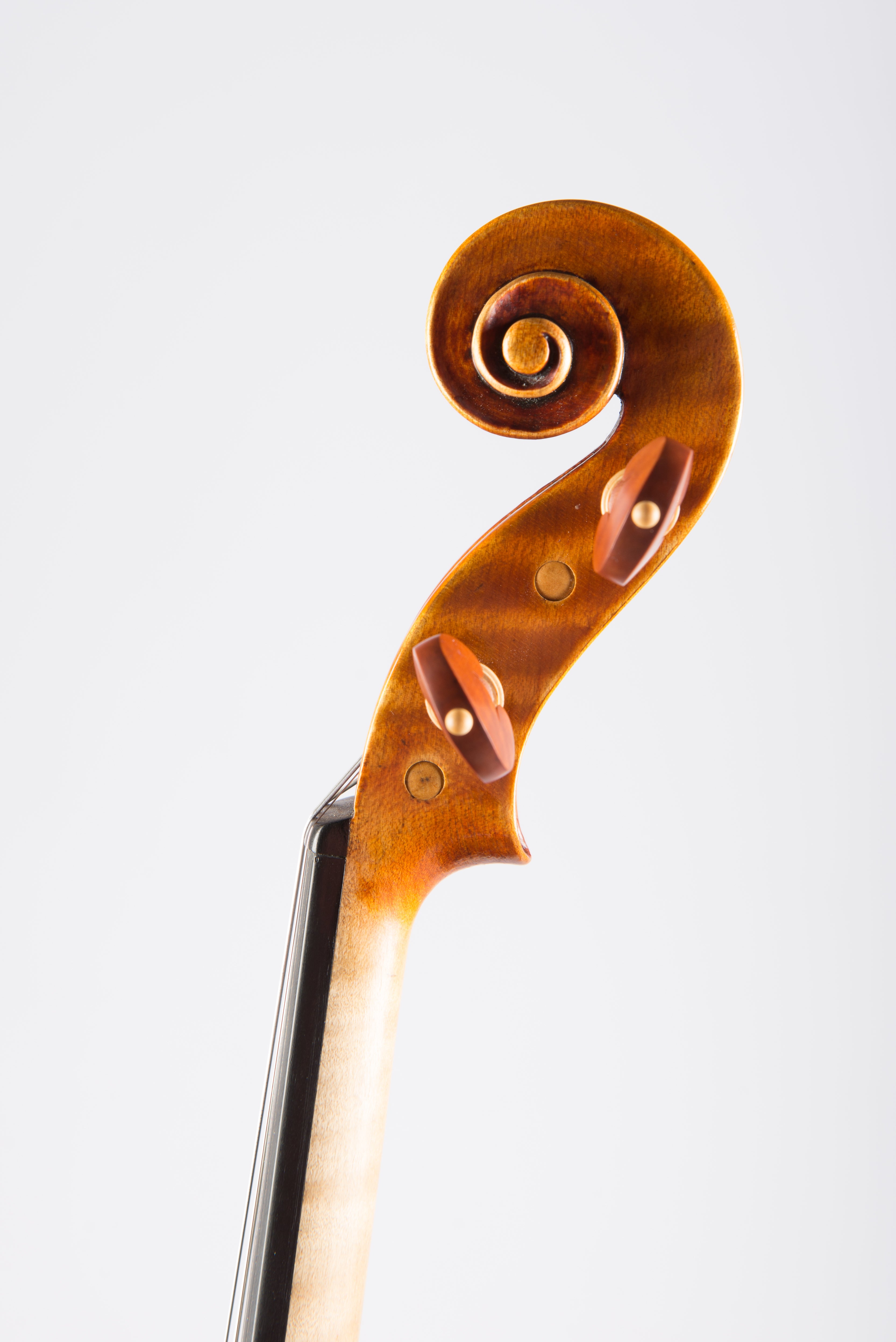 Detail 9 of Opus 194