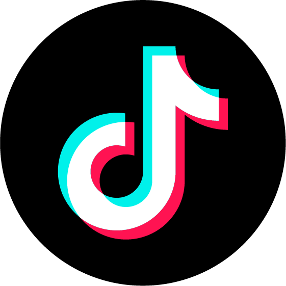 TikTok Ads integration