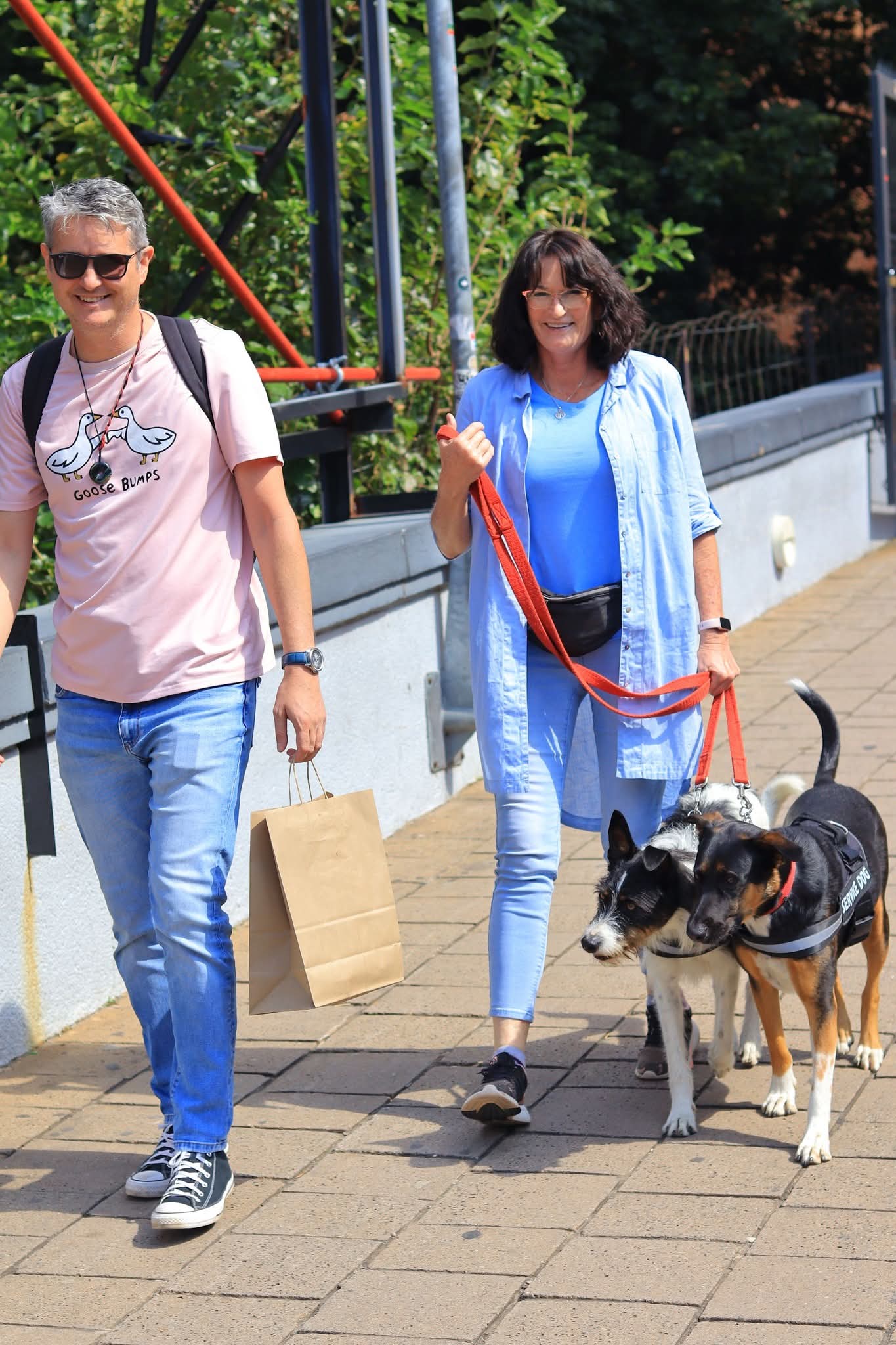 Handler walking two dogs in a public access setting