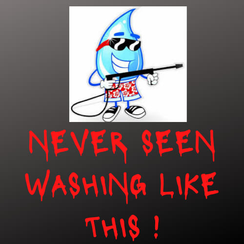 Never Seen Washing Like This Logo