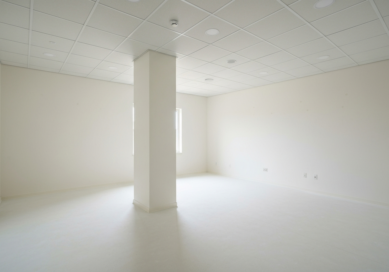 Mold Restoration