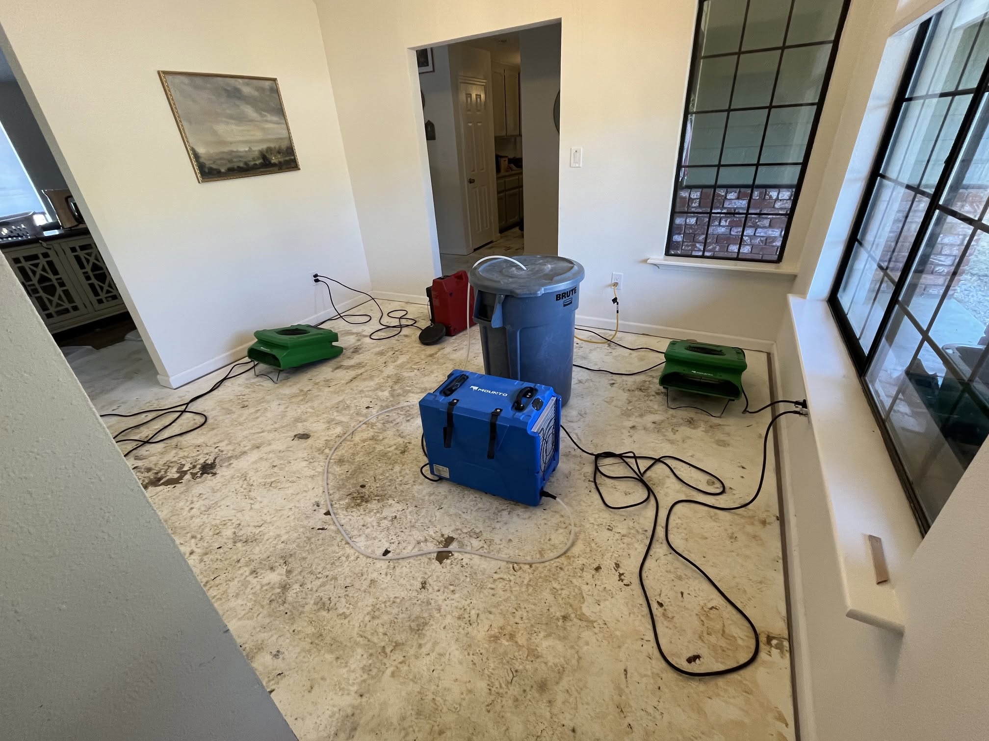 Living Room Water Extraction