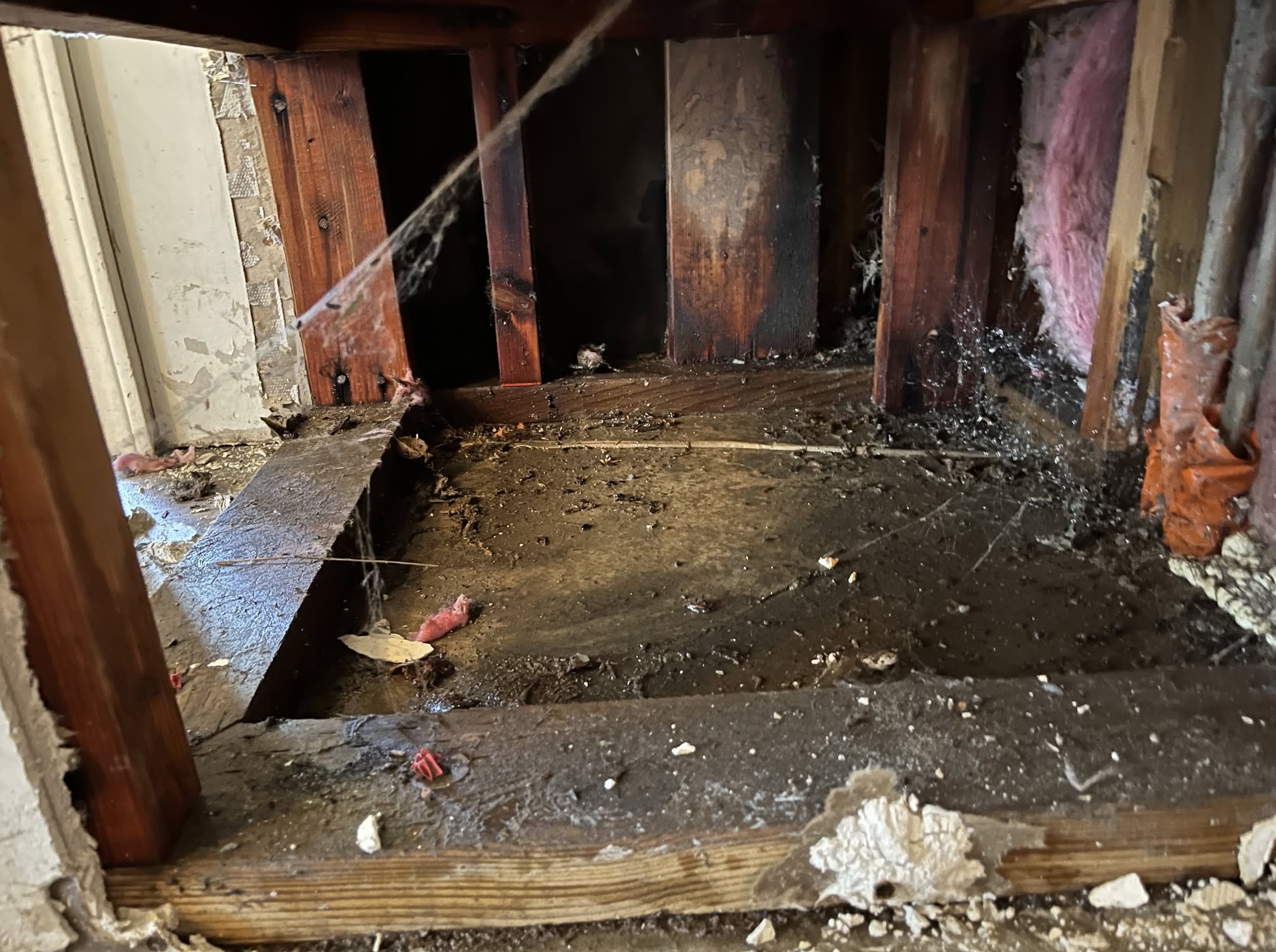 Wall Cavity Inspection