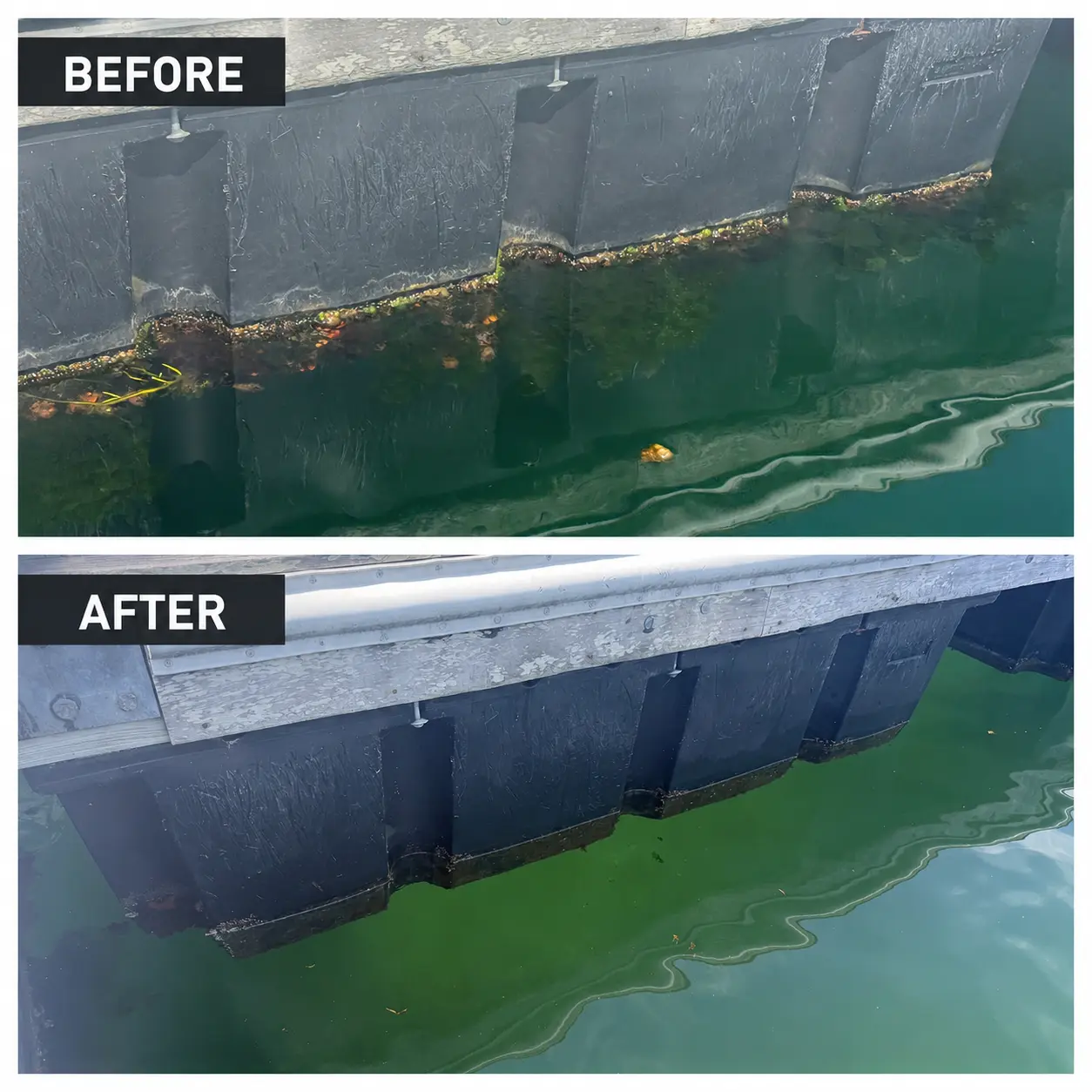 Before and after floating dock cleaning in Rhode Island