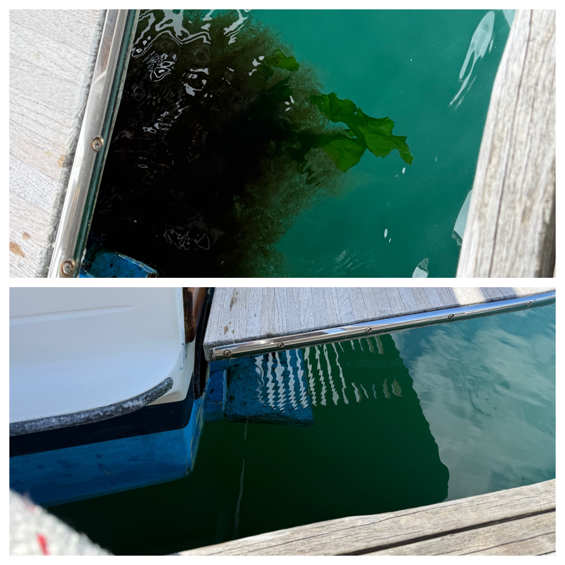 Before and after propeller cleaning in Boston