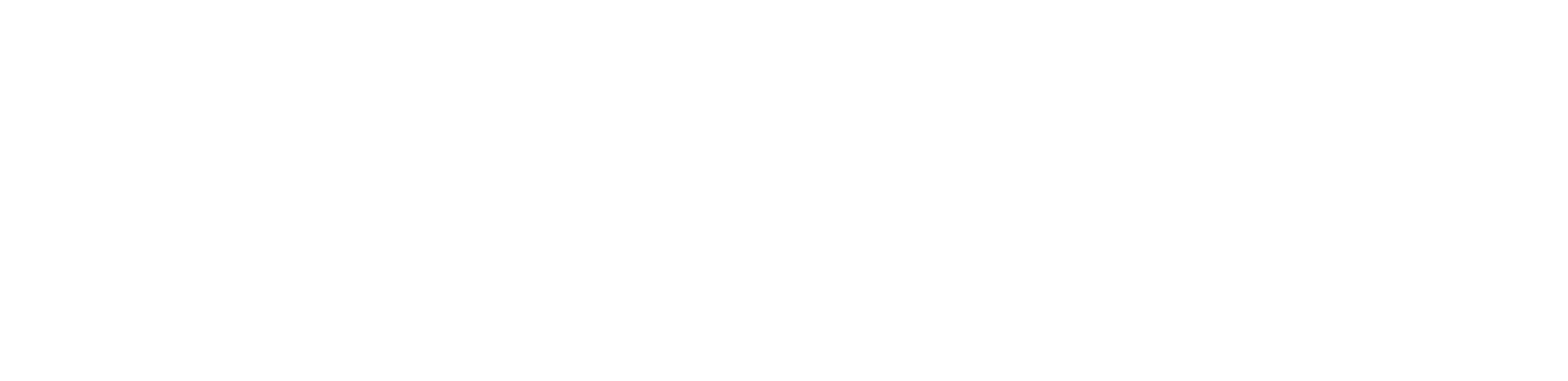 Tom Anelli Logo