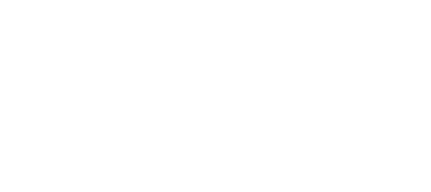 Vizual Edge