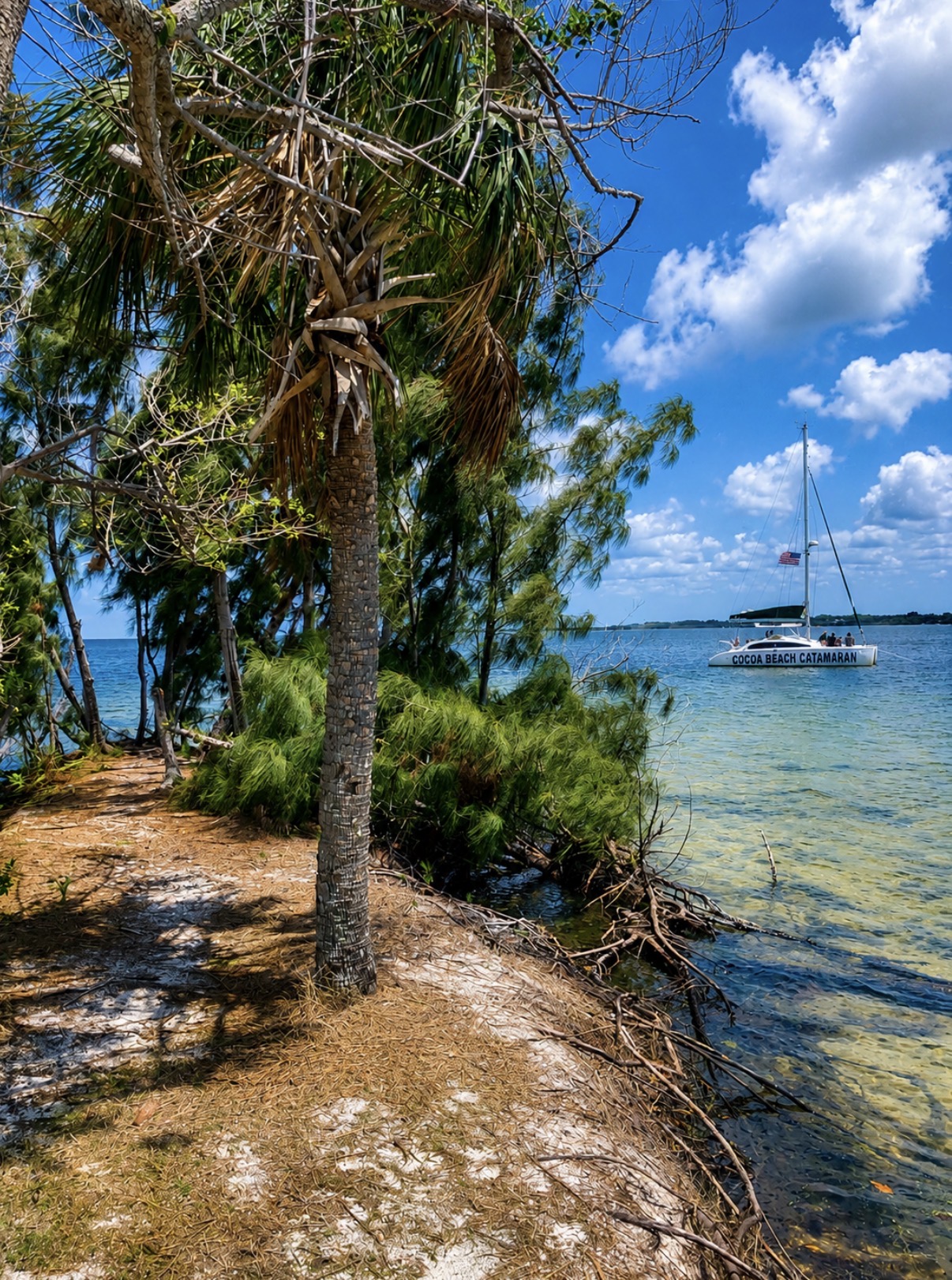 Island Adventure Sail